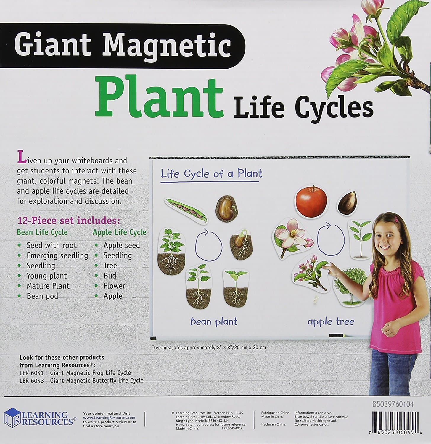 Learning Resources Giant Magnetic Plant Life Cycle - STEM Growing Seed, Montesso - Thumbnail 2