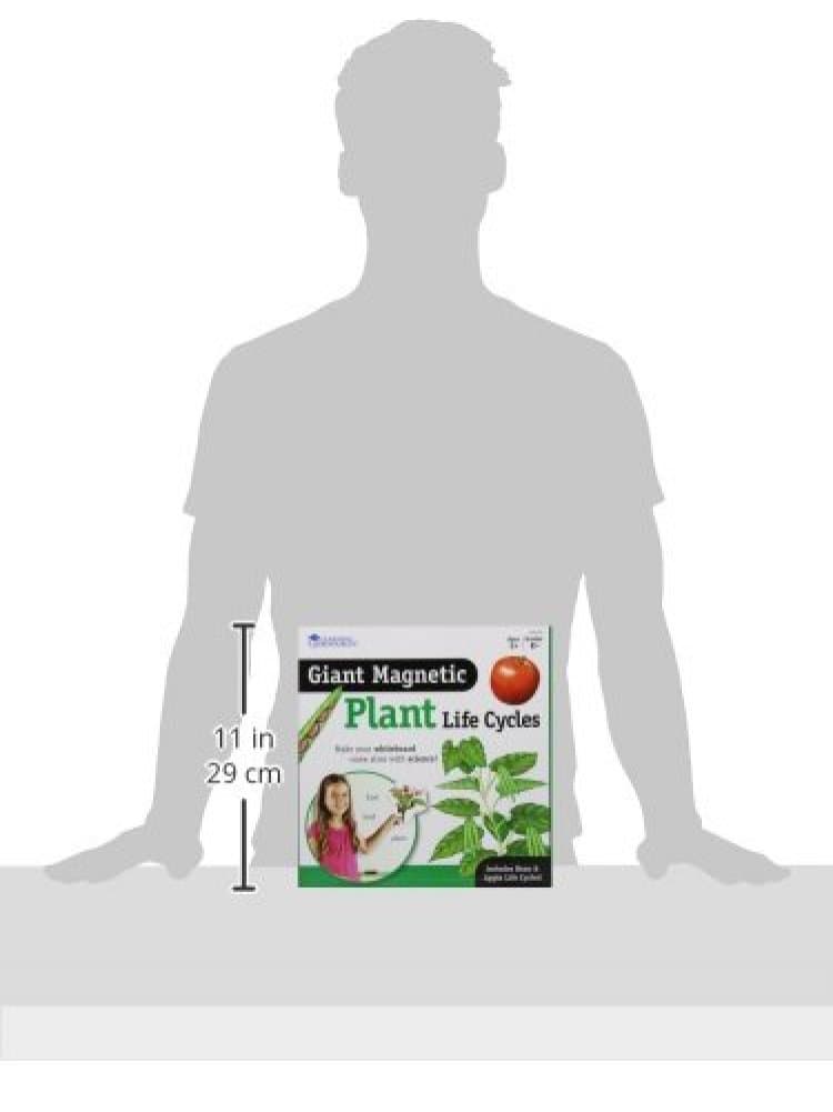 Learning Resources Giant Magnetic Plant Life Cycle - STEM Growing Seed, Montesso - Thumbnail 5