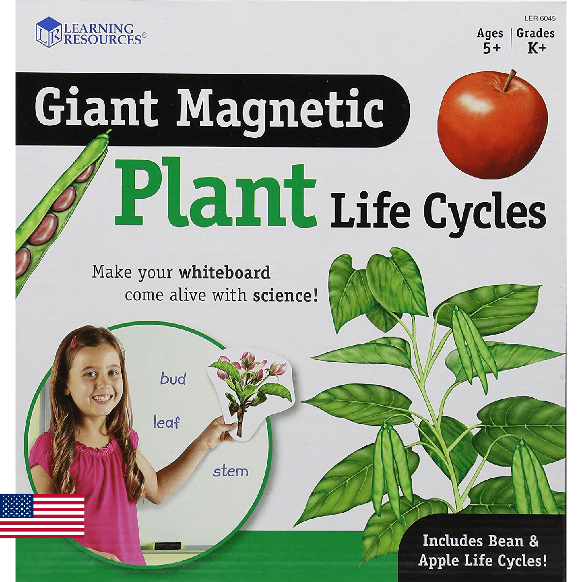 Learning Resources Giant Magnetic Plant Life Cycle - STEM Growing Seed, Montesso - Image 1