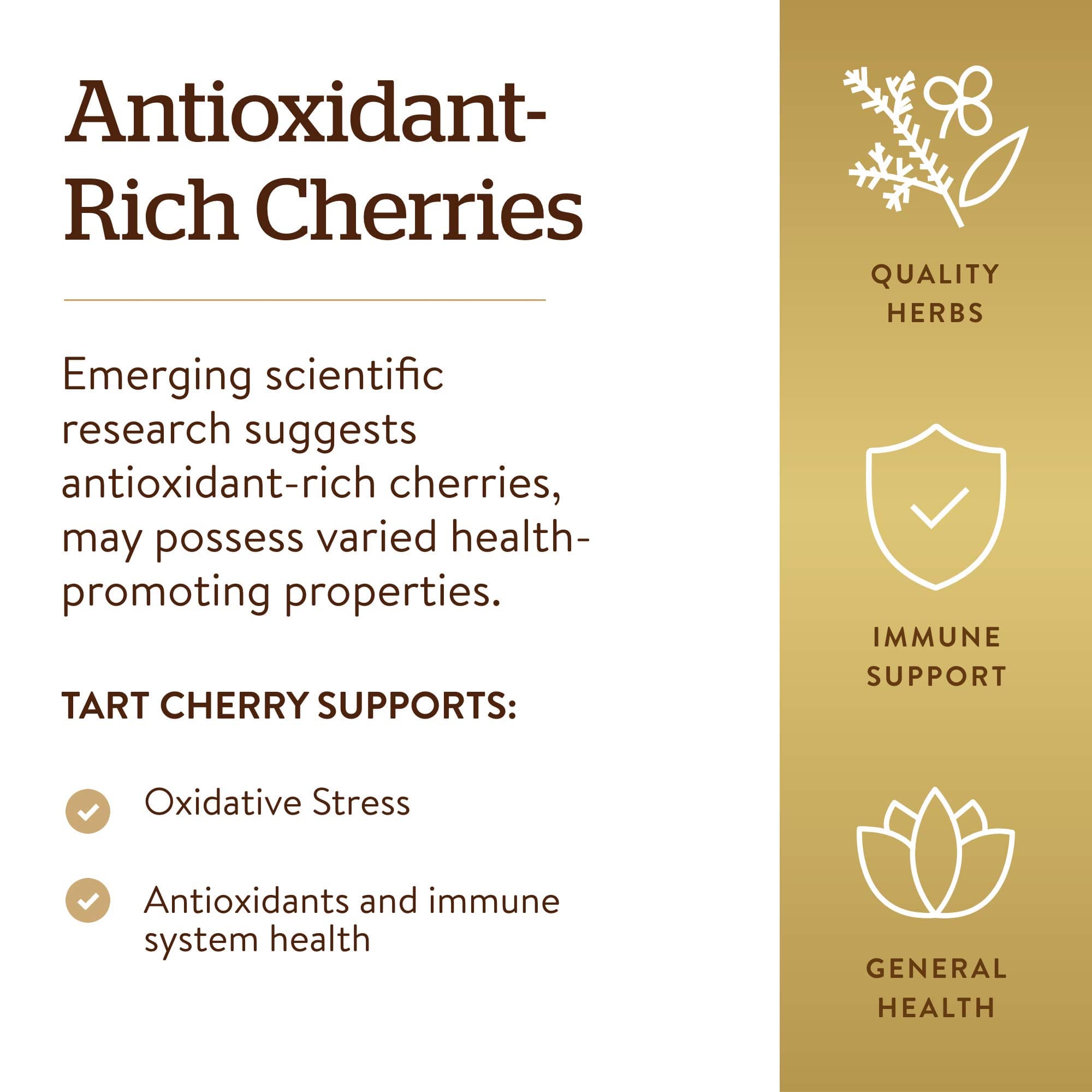 Solgar Tart Cherry 1000 mg, 90 Vegetable Capsules - Antioxidant with Quercetin, - Thumbnail 4