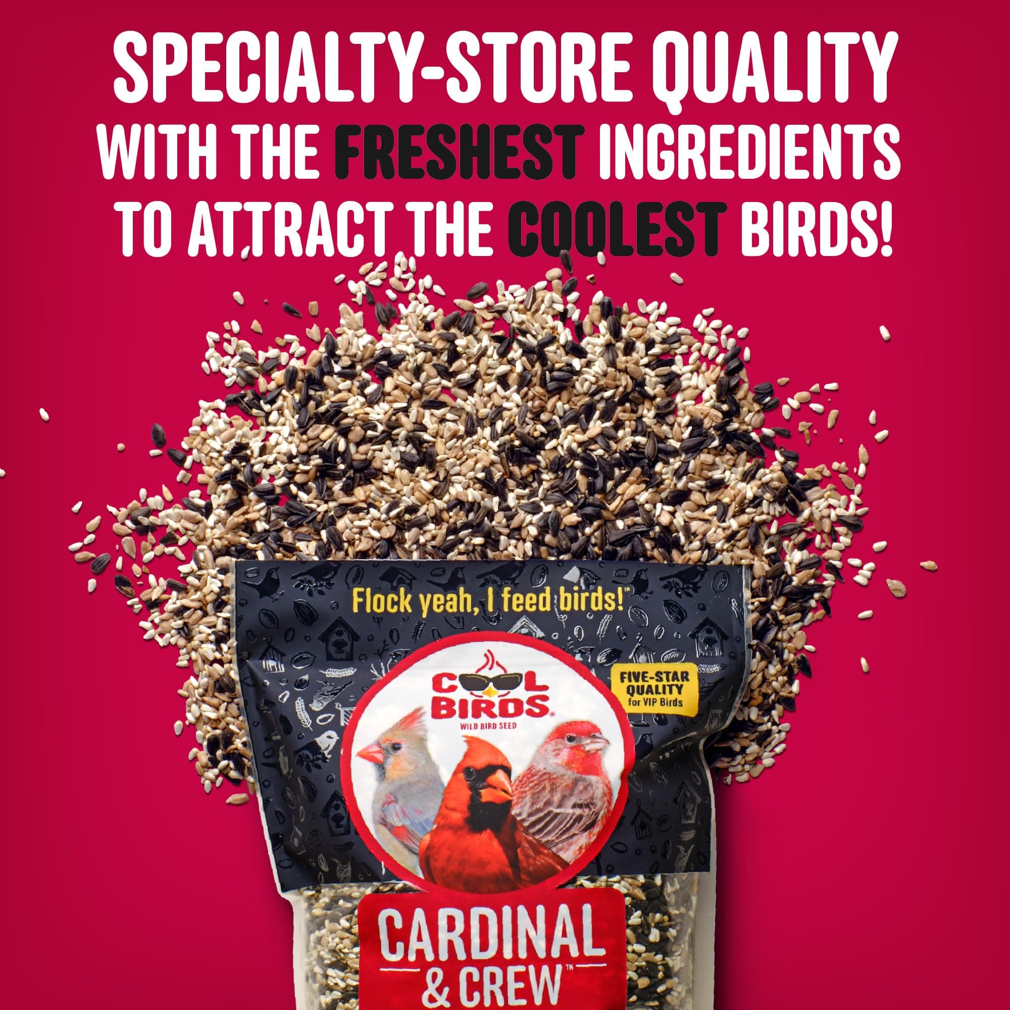 Cool Birds Cardinal & Crew Wild Bird Seed – 10 lb. Black Oil Sunflower, Sunflowe - Thumbnail 3