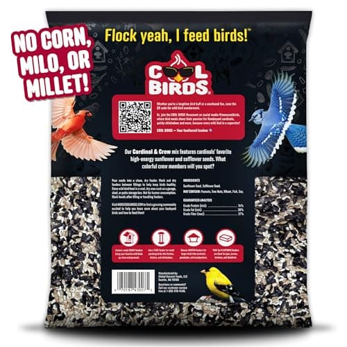 Cool Birds Cardinal & Crew Wild Bird Seed – 10 lb. Black Oil Sunflower, Sunflowe - Thumbnail 2
