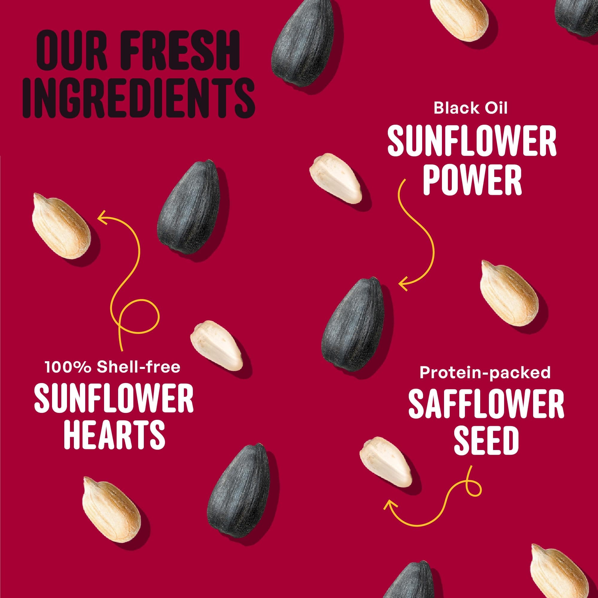 Cool Birds Cardinal & Crew Wild Bird Seed – 10 lb. Black Oil Sunflower, Sunflowe - Thumbnail 4