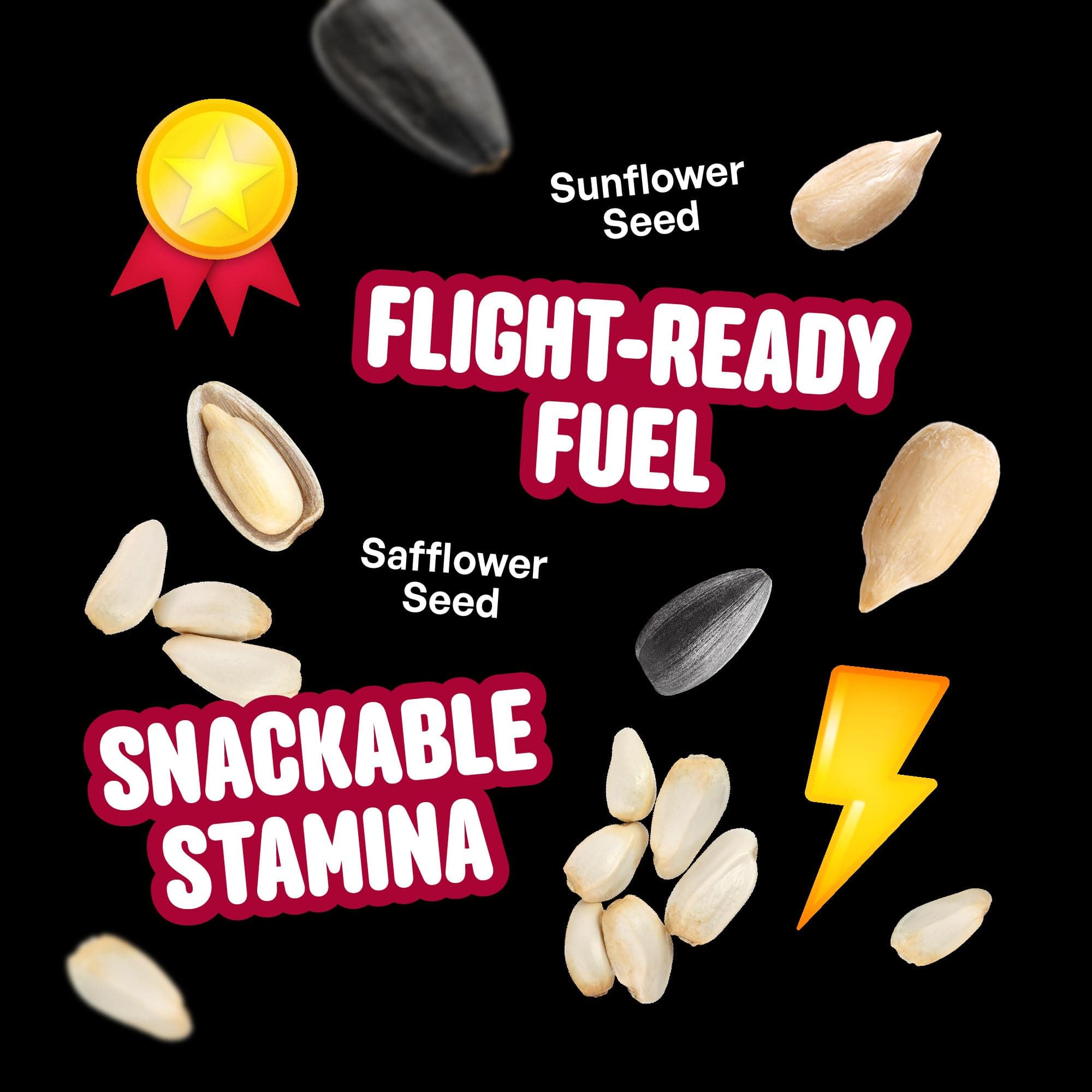 Cool Birds Cardinal & Crew Wild Bird Seed – 10 lb. Black Oil Sunflower, Sunflowe - Thumbnail 5