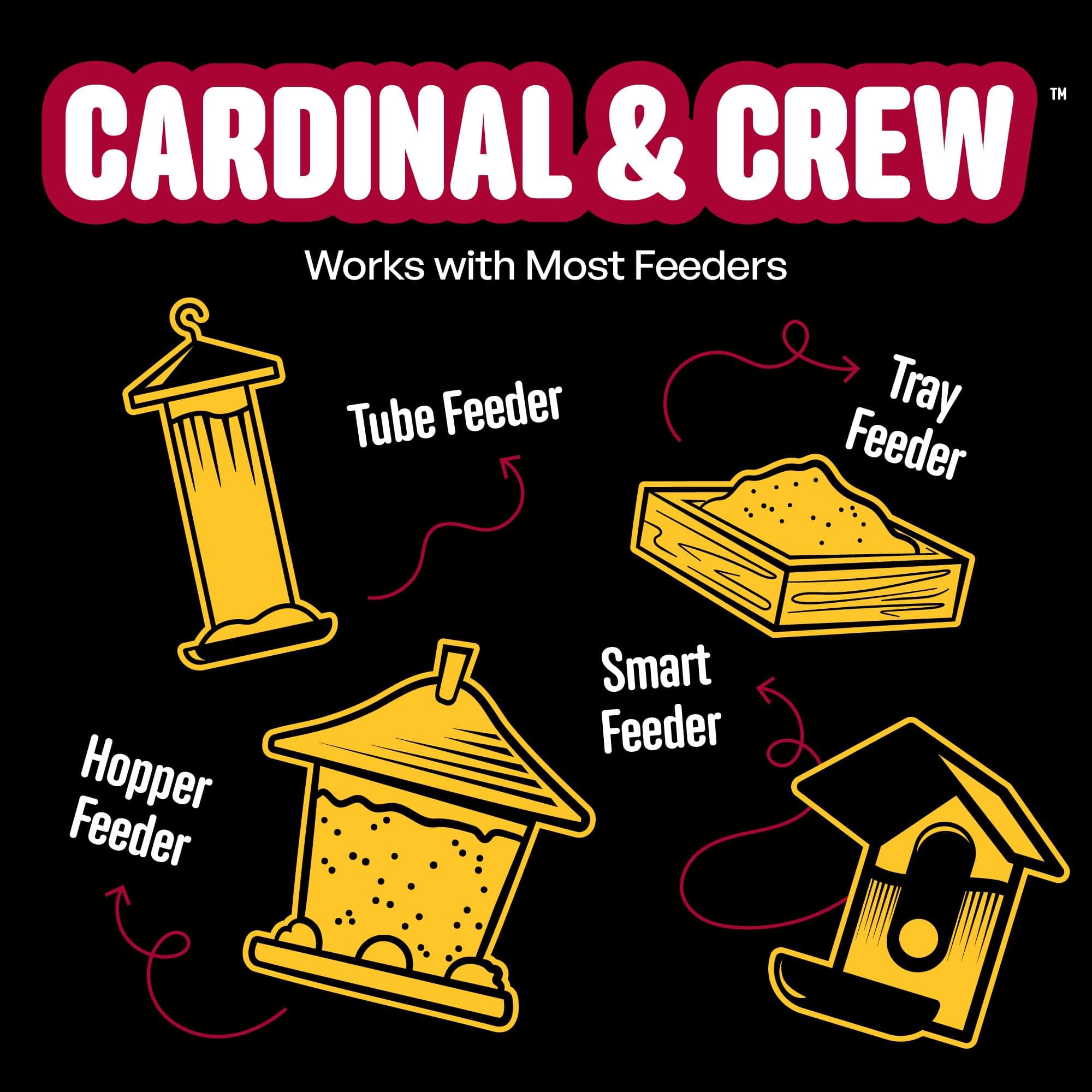 Cool Birds Cardinal & Crew Wild Bird Seed – 10 lb. Black Oil Sunflower, Sunflowe - Thumbnail 9