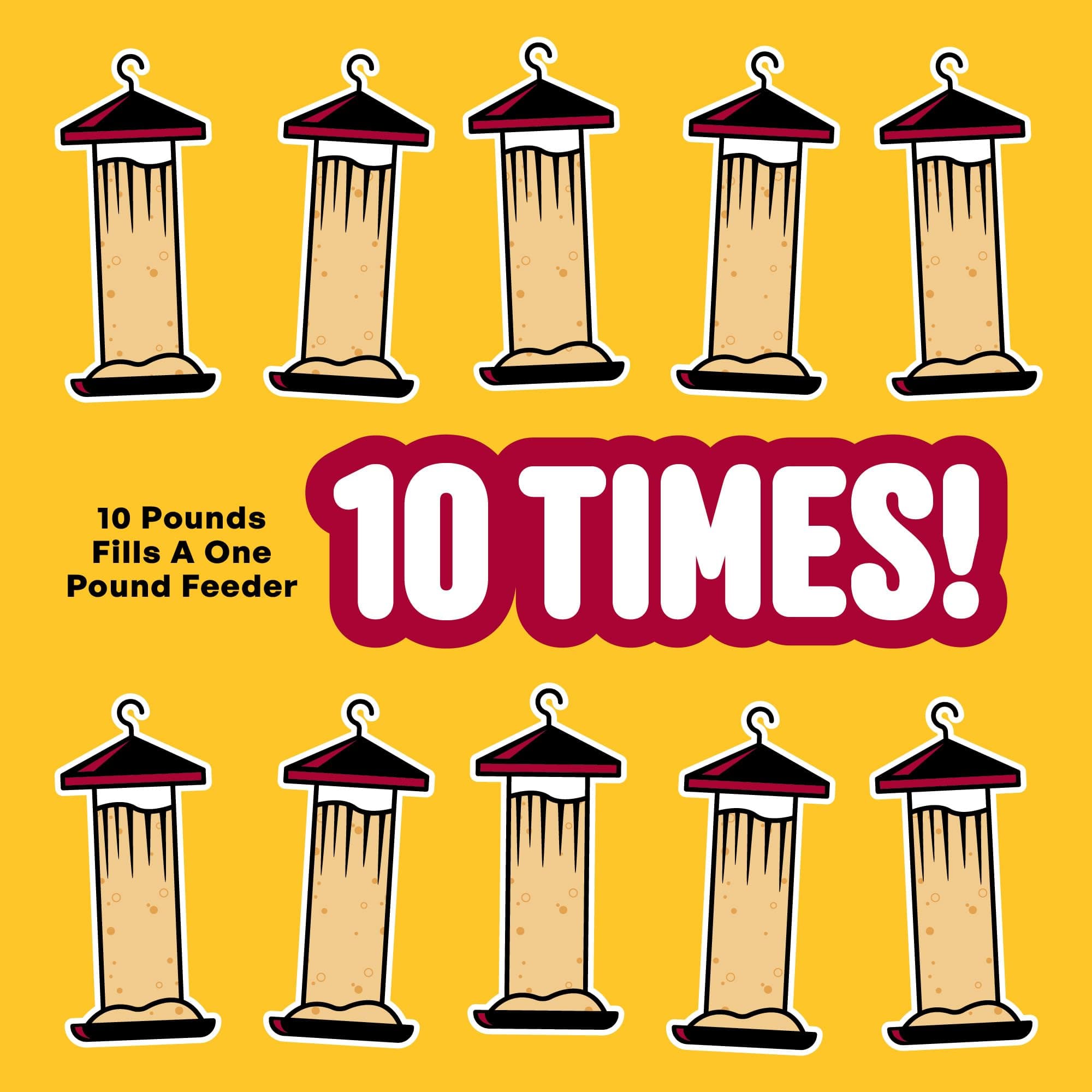 Cool Birds Cardinal & Crew Wild Bird Seed – 10 lb. Black Oil Sunflower, Sunflowe - Thumbnail 8