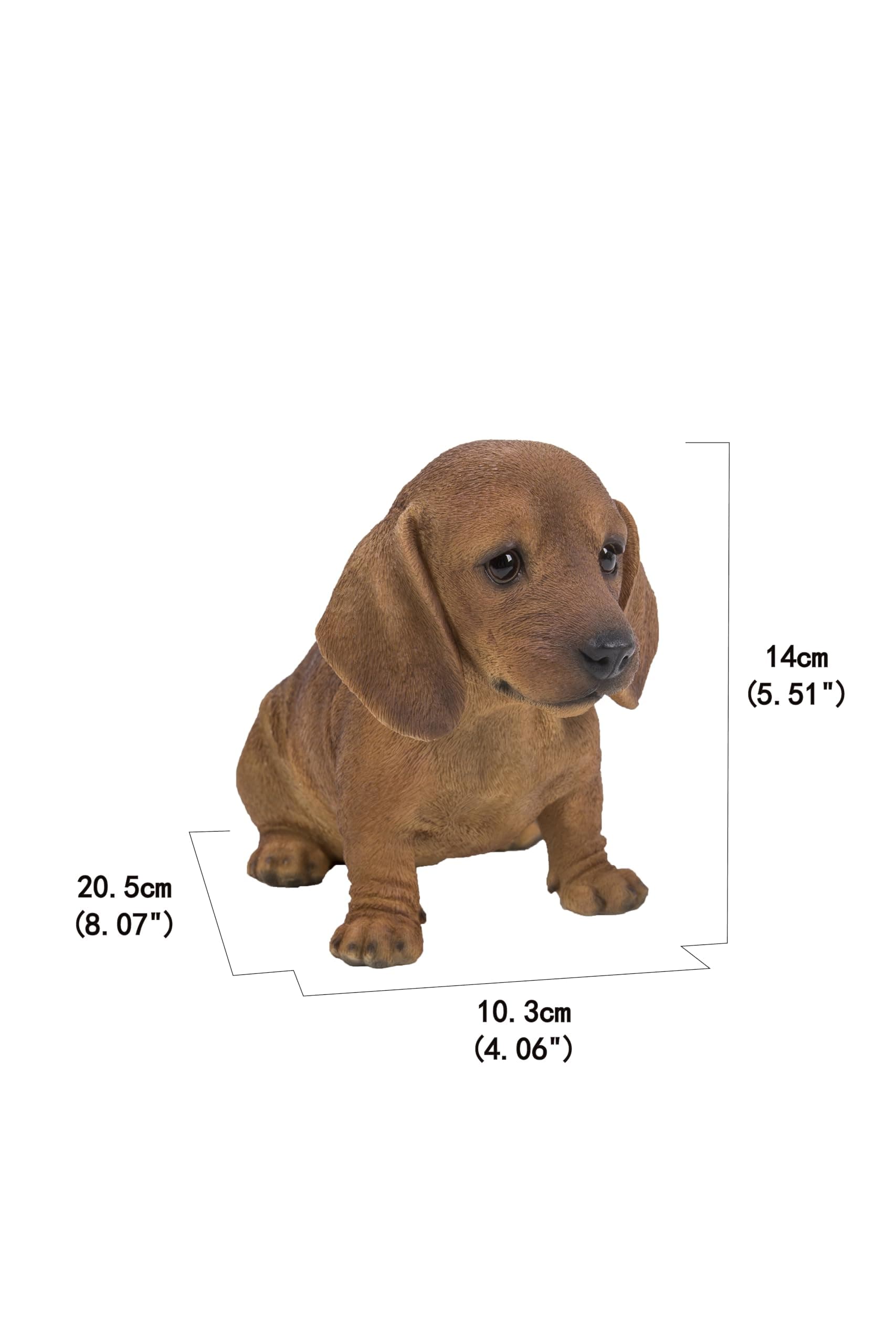 Brown Dachshund Sitting Statue - Thumbnail 5