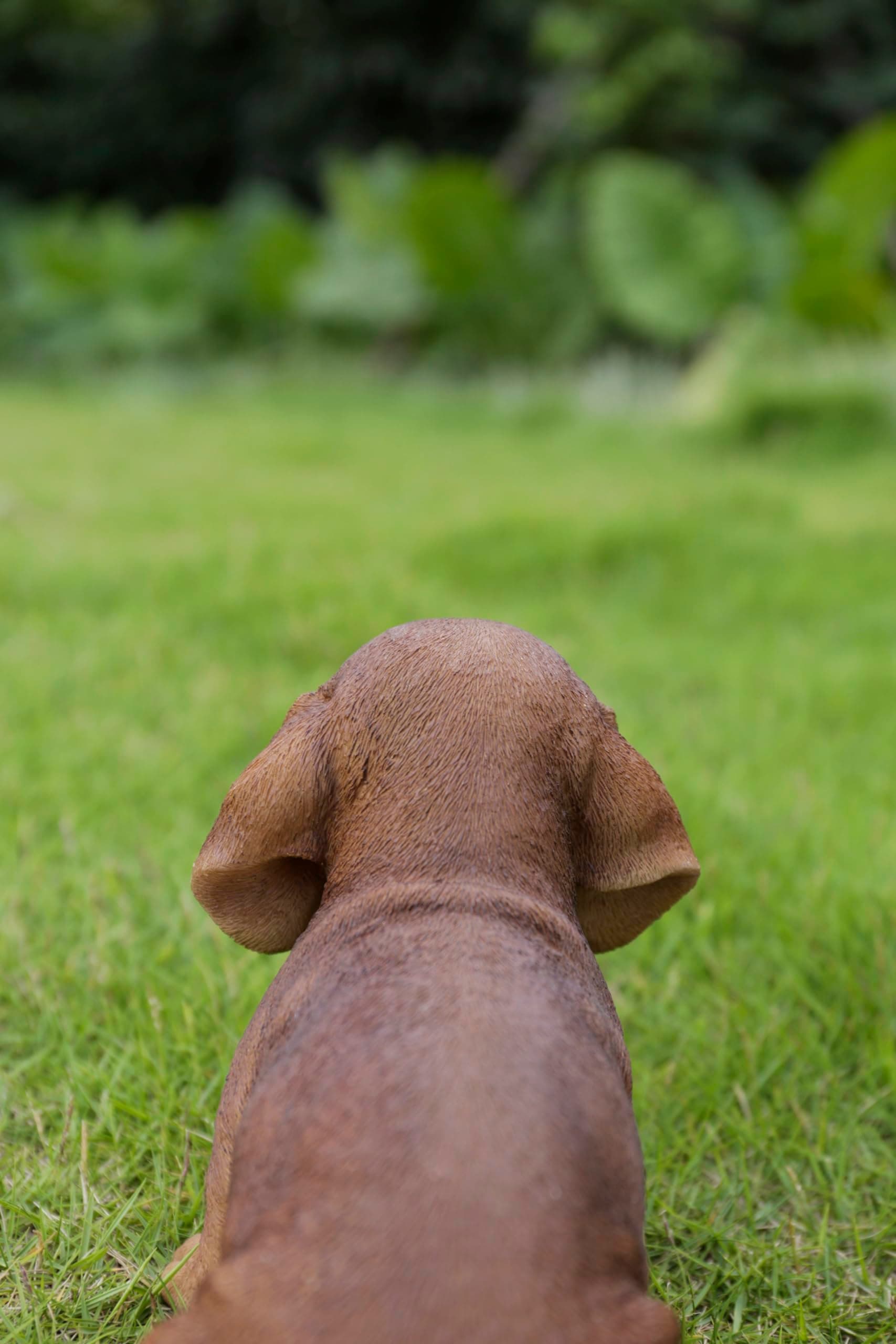 Brown Dachshund Sitting Statue - Thumbnail 4