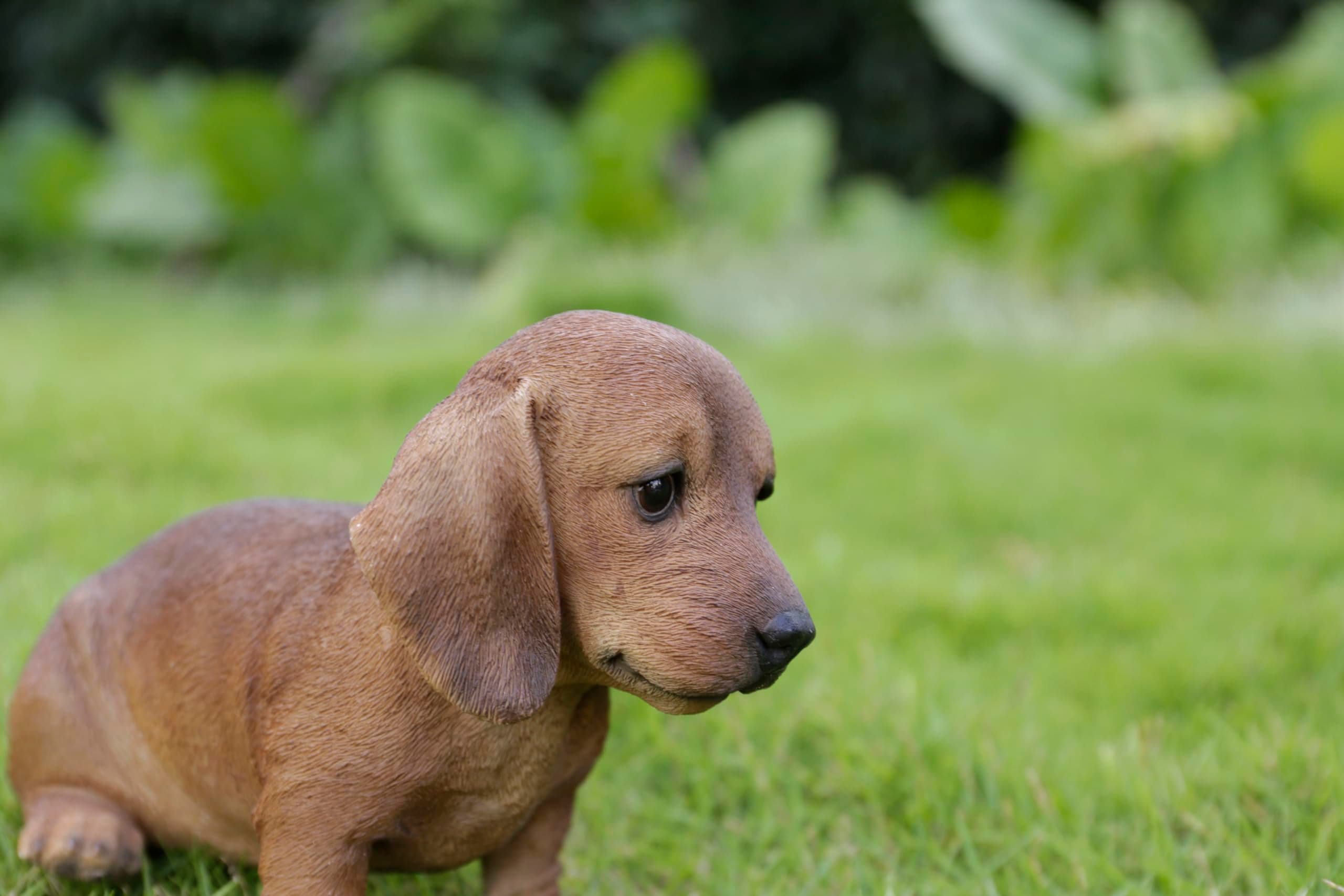 Brown Dachshund Sitting Statue - Thumbnail 2