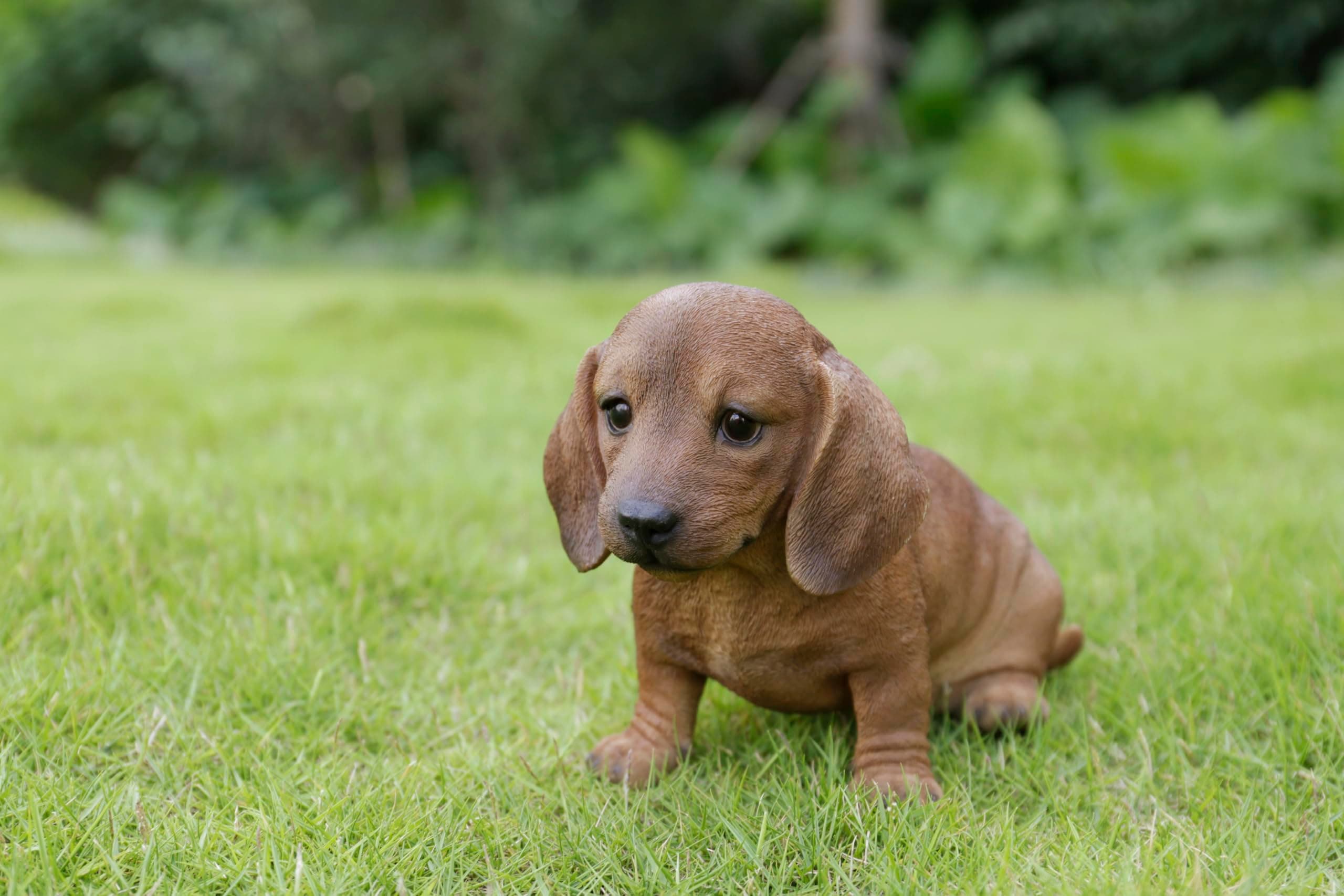 Brown Dachshund Sitting Statue - Thumbnail 3