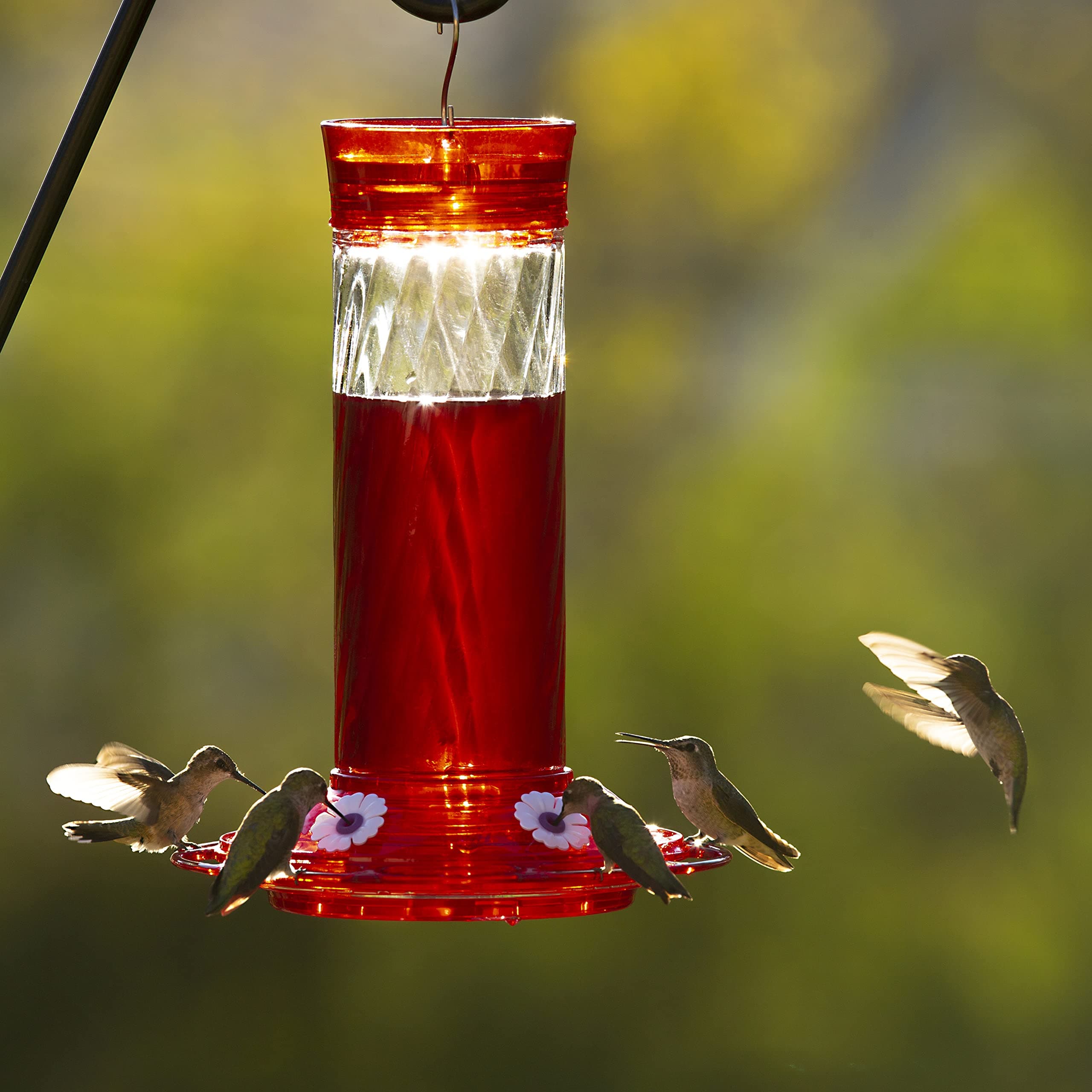 More Birds Bird Health Diamond Hummingbird Feeder, 30oz, Red - Thumbnail 6