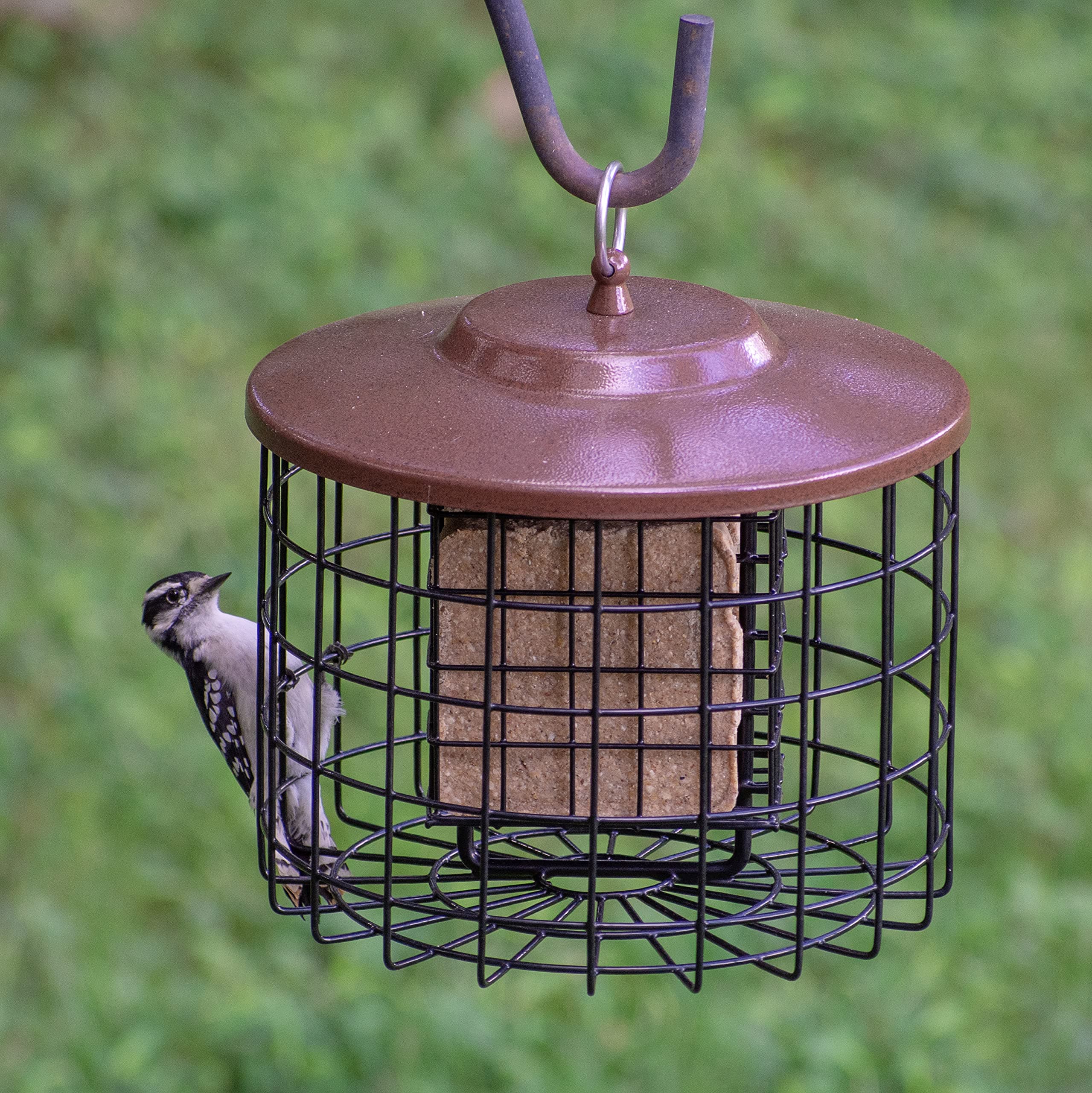 More Birds Bird Feeder- Double Cage - Thumbnail 2