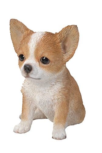Hi-Line Gift Ltd Chihuahua Puppy Statue, Brown/White - Thumbnail 5