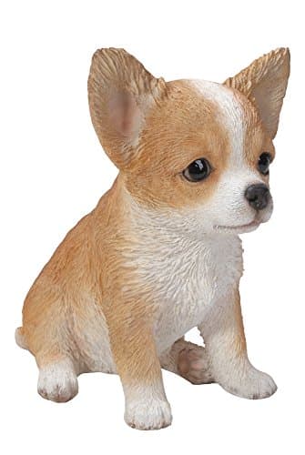 Hi-Line Gift Ltd Chihuahua Puppy Statue, Brown/White - Thumbnail 6
