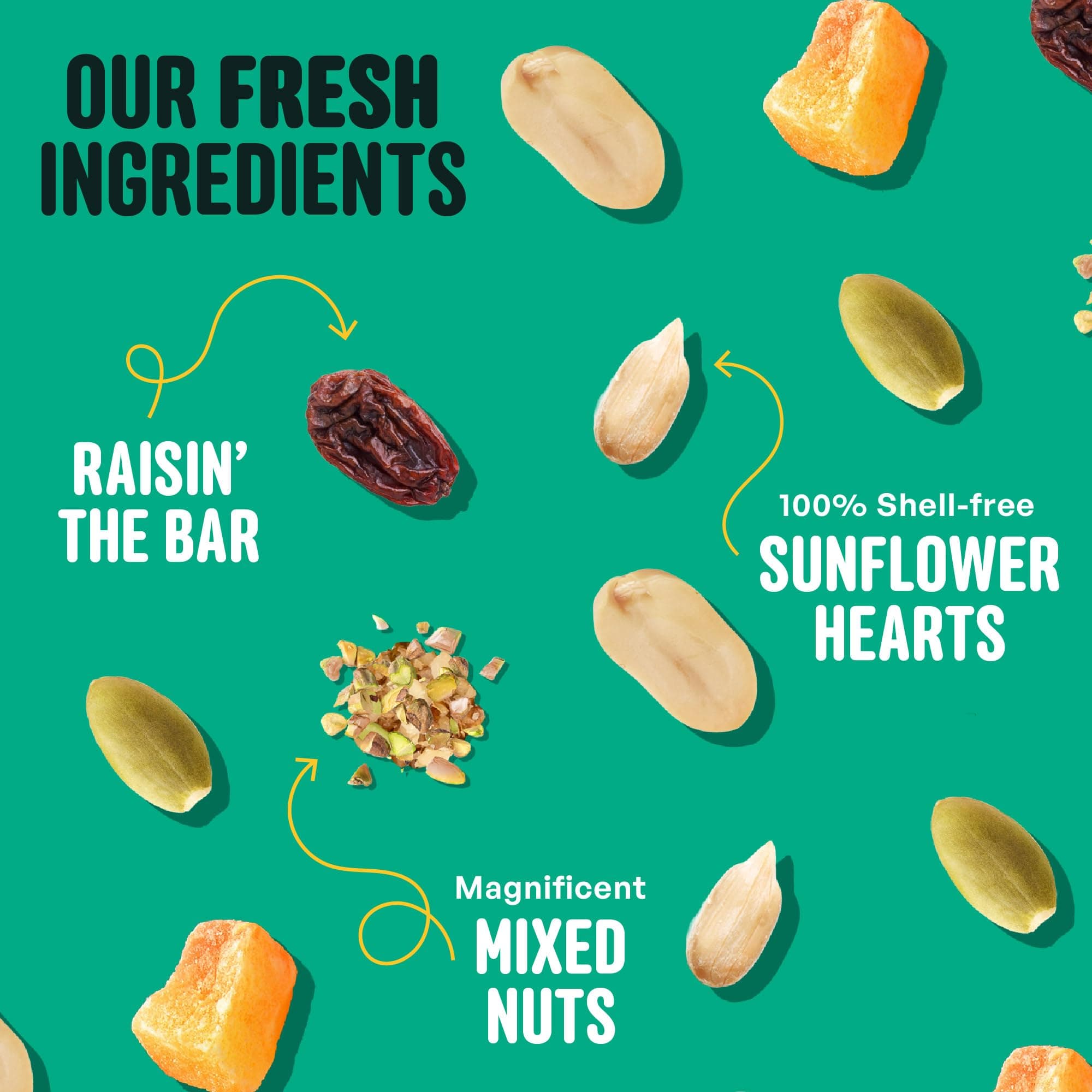 Cool Birds No Mess with Fruit Wild Bird Seed – 10 lb. 100% Edible Shell-Free Ble - Thumbnail 4