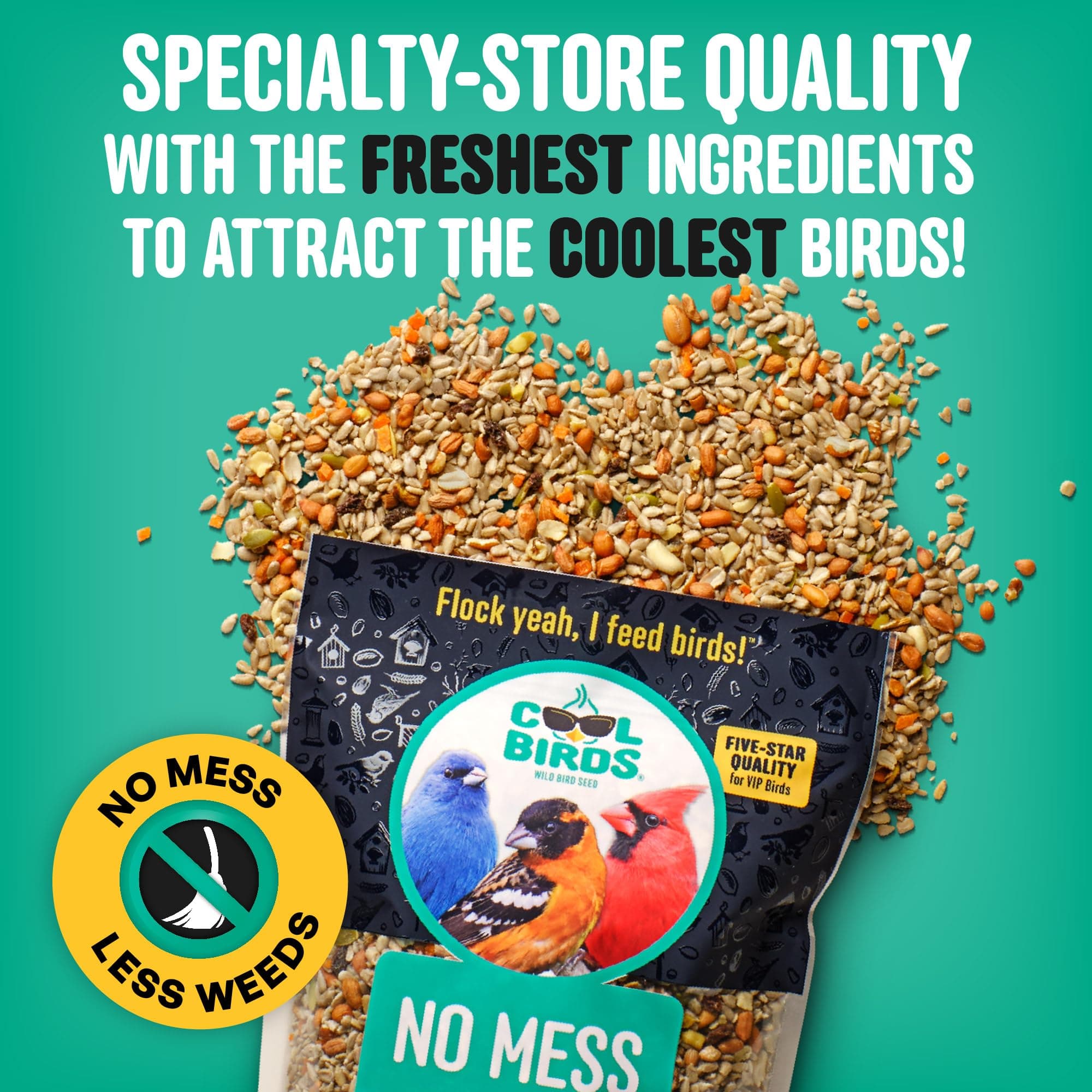 Cool Birds No Mess with Fruit Wild Bird Seed – 10 lb. 100% Edible Shell-Free Ble - Thumbnail 3
