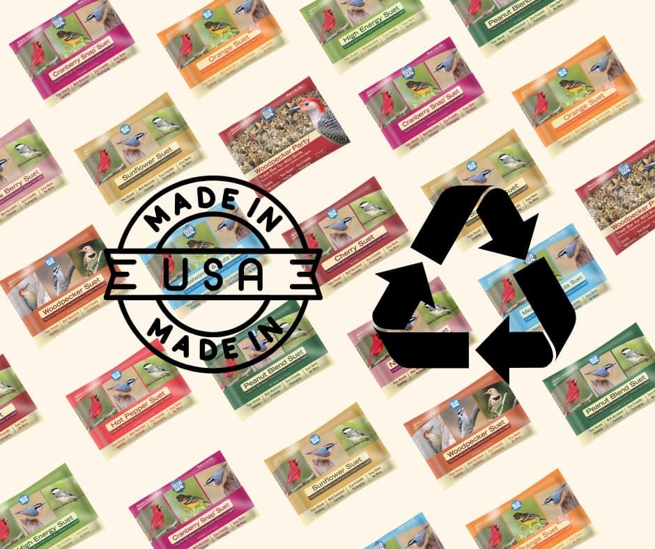 Blue Seal Nut Feast Suet Cakes for Wild Birds | No Mess Suet Feed with Variety o - Thumbnail 5