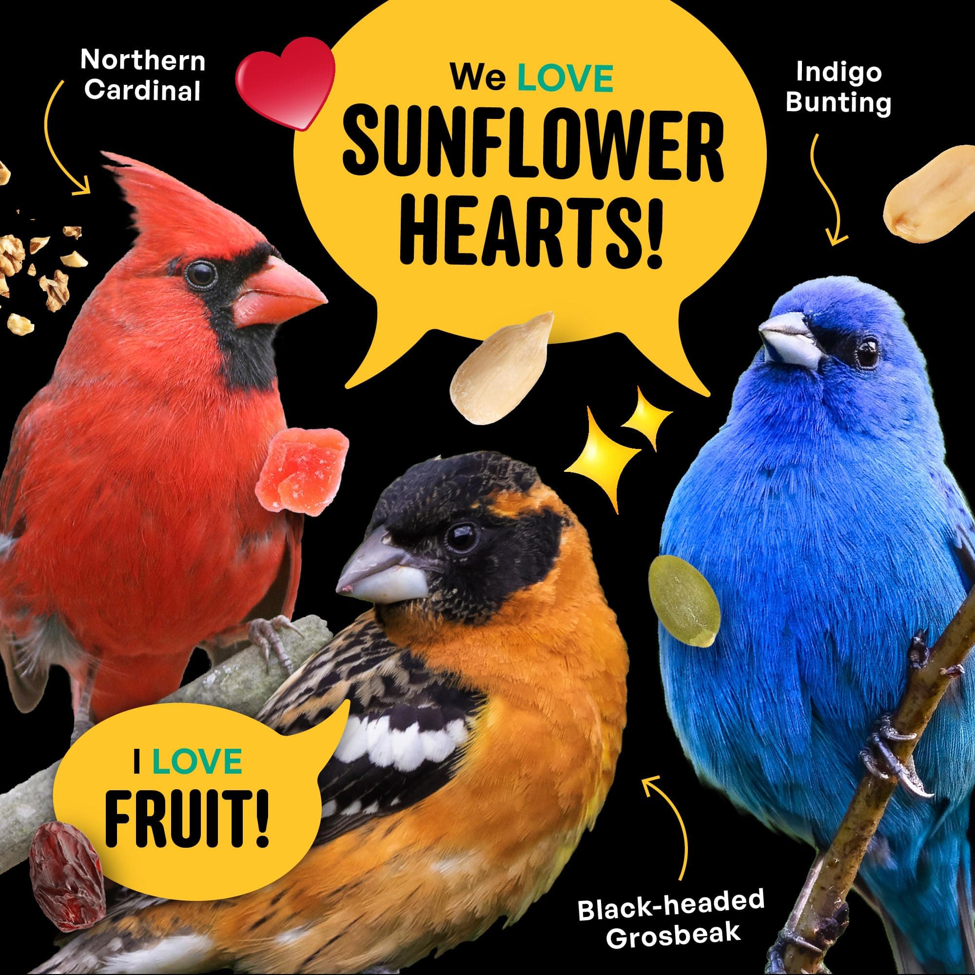 Cool Birds No Mess with Fruit Wild Bird Seed – 10 lb. 100% Edible Shell-Free Ble - Thumbnail 7