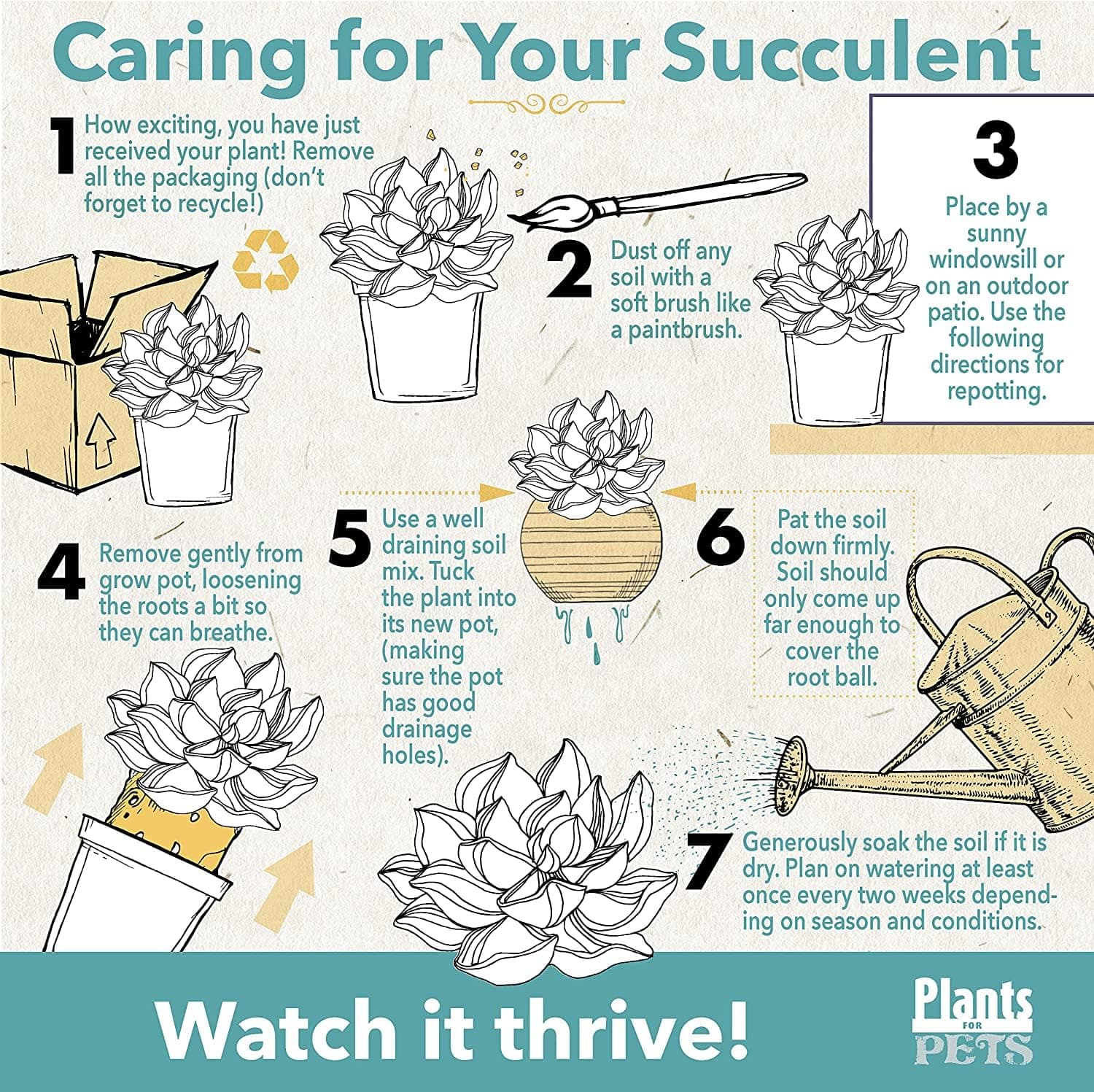 Cactus Plants Live in Clay Pots for Plants (3 PK), Live Cactus in Cactus Soil Po - Thumbnail 7