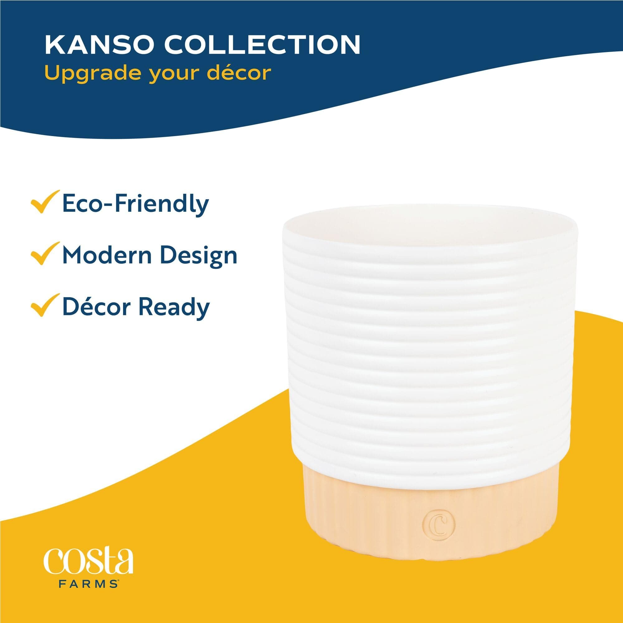 Costa Farms Parlor Palm Live Plant in Decorative Pot, Air Purifying Indoor House - Thumbnail 7