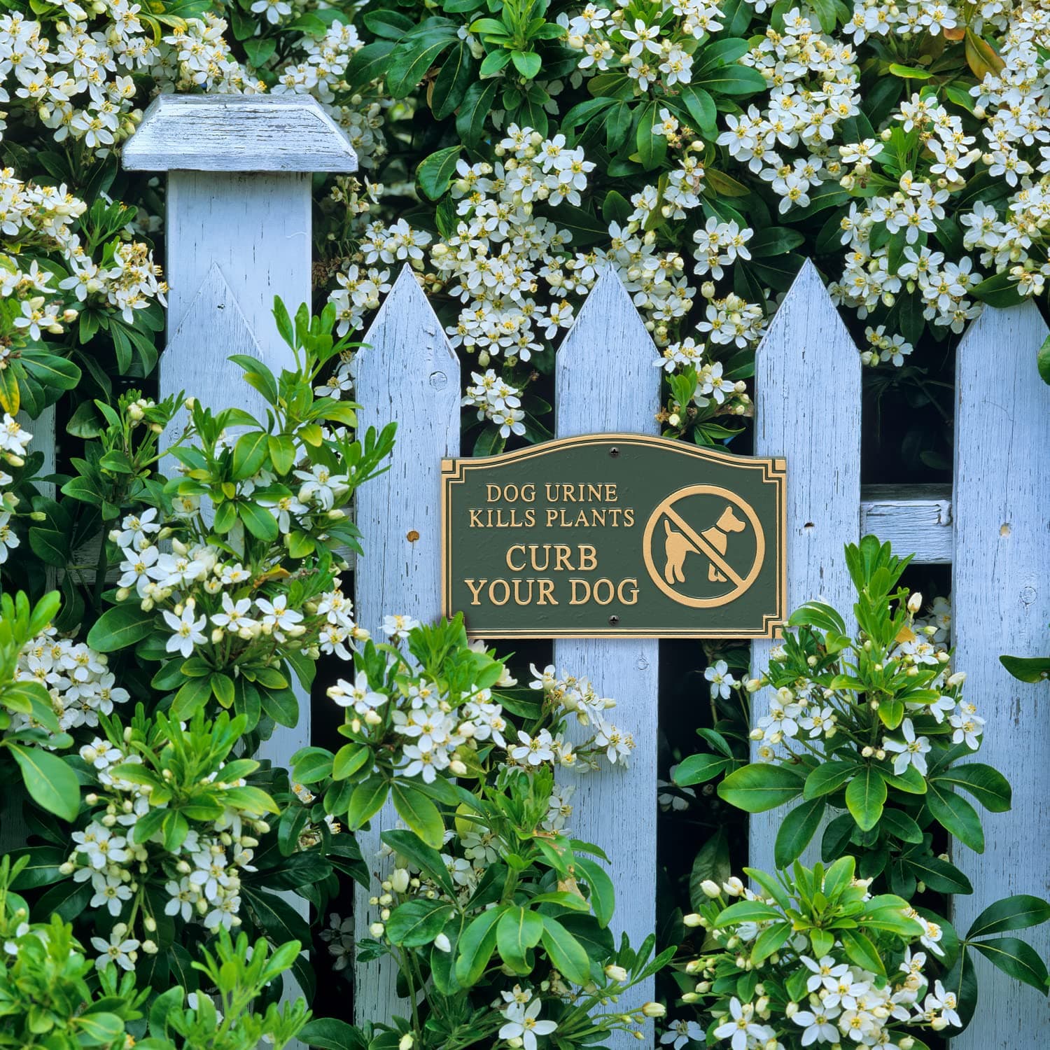 Whitehall Products Statement Plaque, Small Wall/Lawn - Dog Urine Kills Plants Cu - Thumbnail 5