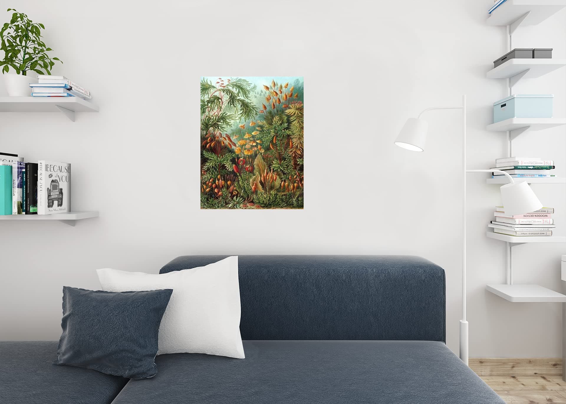 Ernst Haeckel Muscinae Moss Art Forms In Nature Plant Room Decor Aesthetic Plant - Thumbnail 6