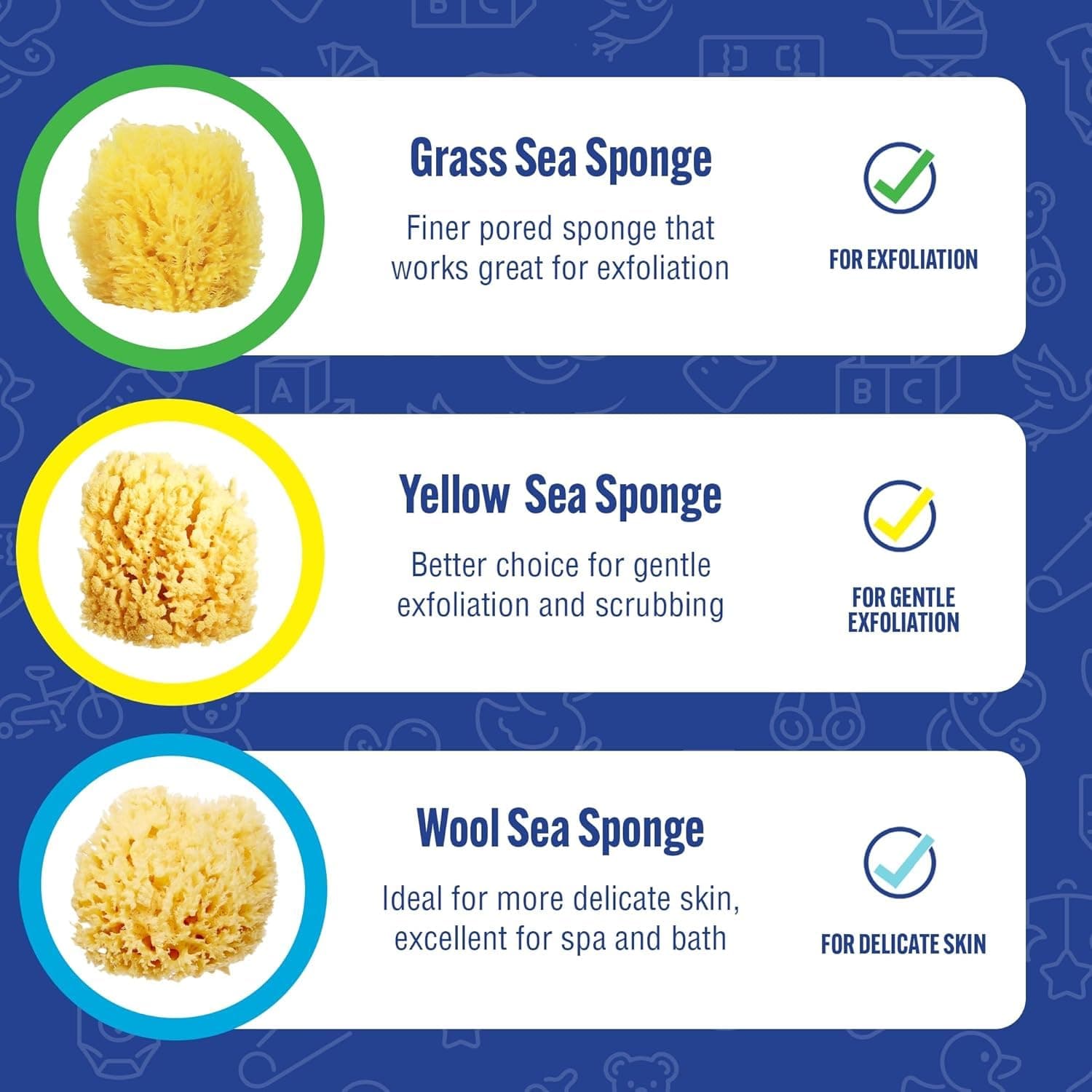 Baby Buddy Absorbent Natural Bath Sponge, Ultra Soft Premium Sea Wool Sponge, So - Thumbnail 5