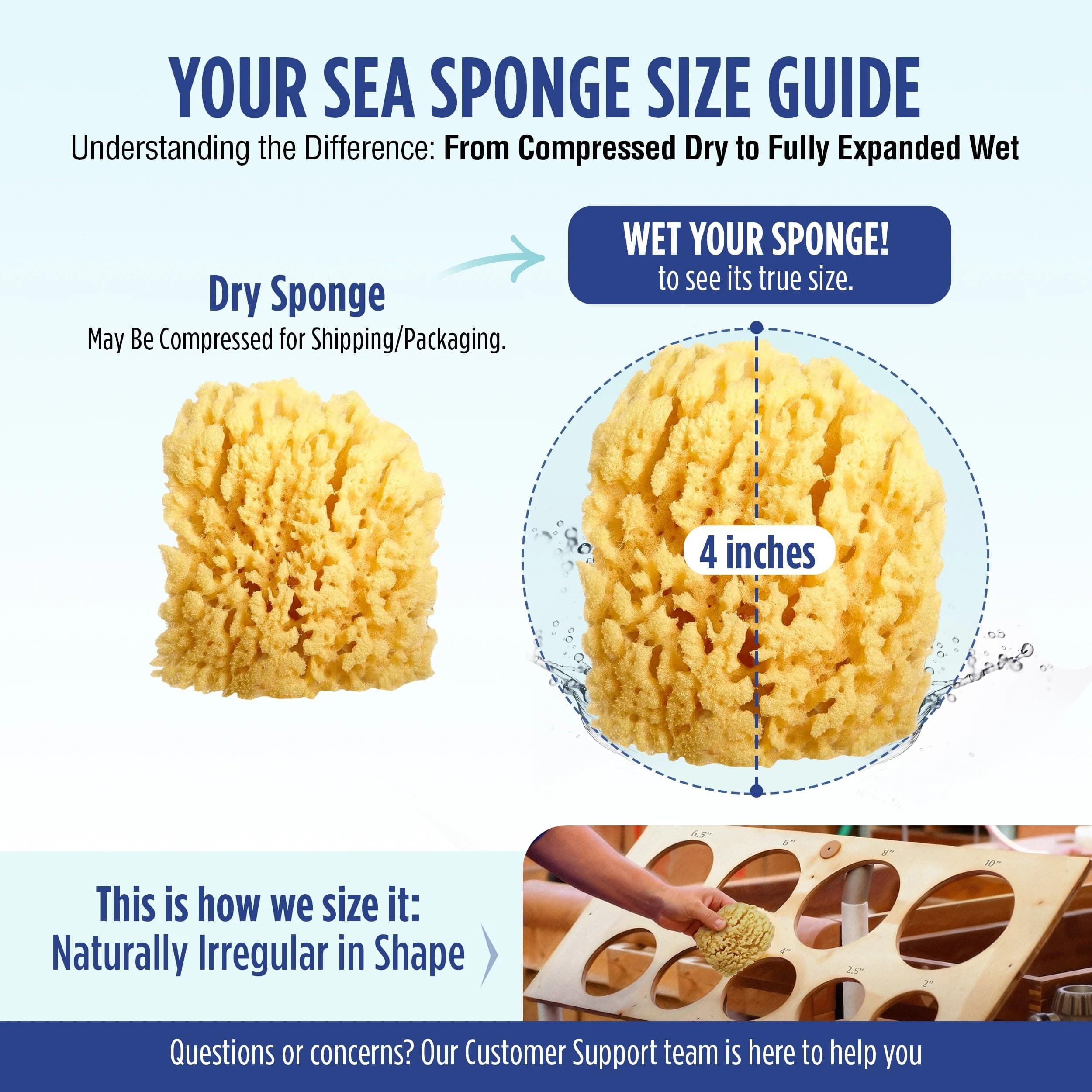 Baby Buddy Absorbent Natural Bath Sponge, Ultra Soft Premium Sea Wool Sponge, So - Thumbnail 8