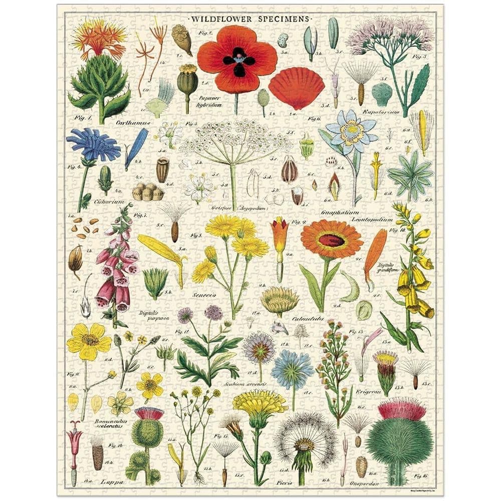 Cavallini 1000 Piece Puzzle Wildflowers - Thumbnail 2