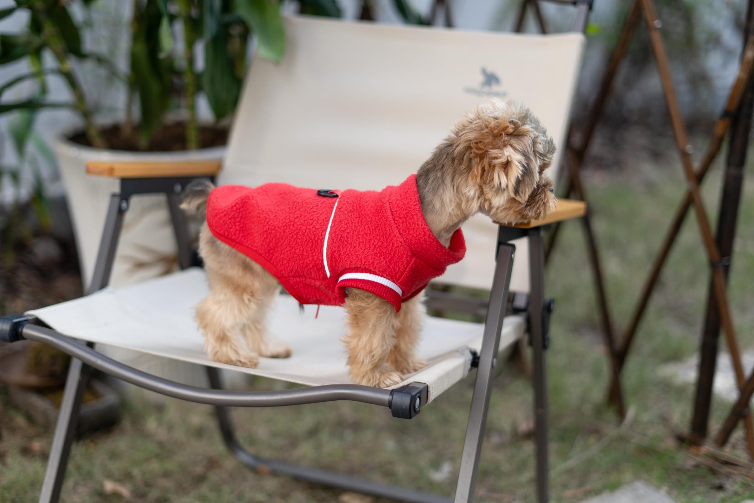 Small Dog Sweater, Fleece Sweater with D-Ring, Perfect for Chihuahua & Yorkie, W - Thumbnail 6