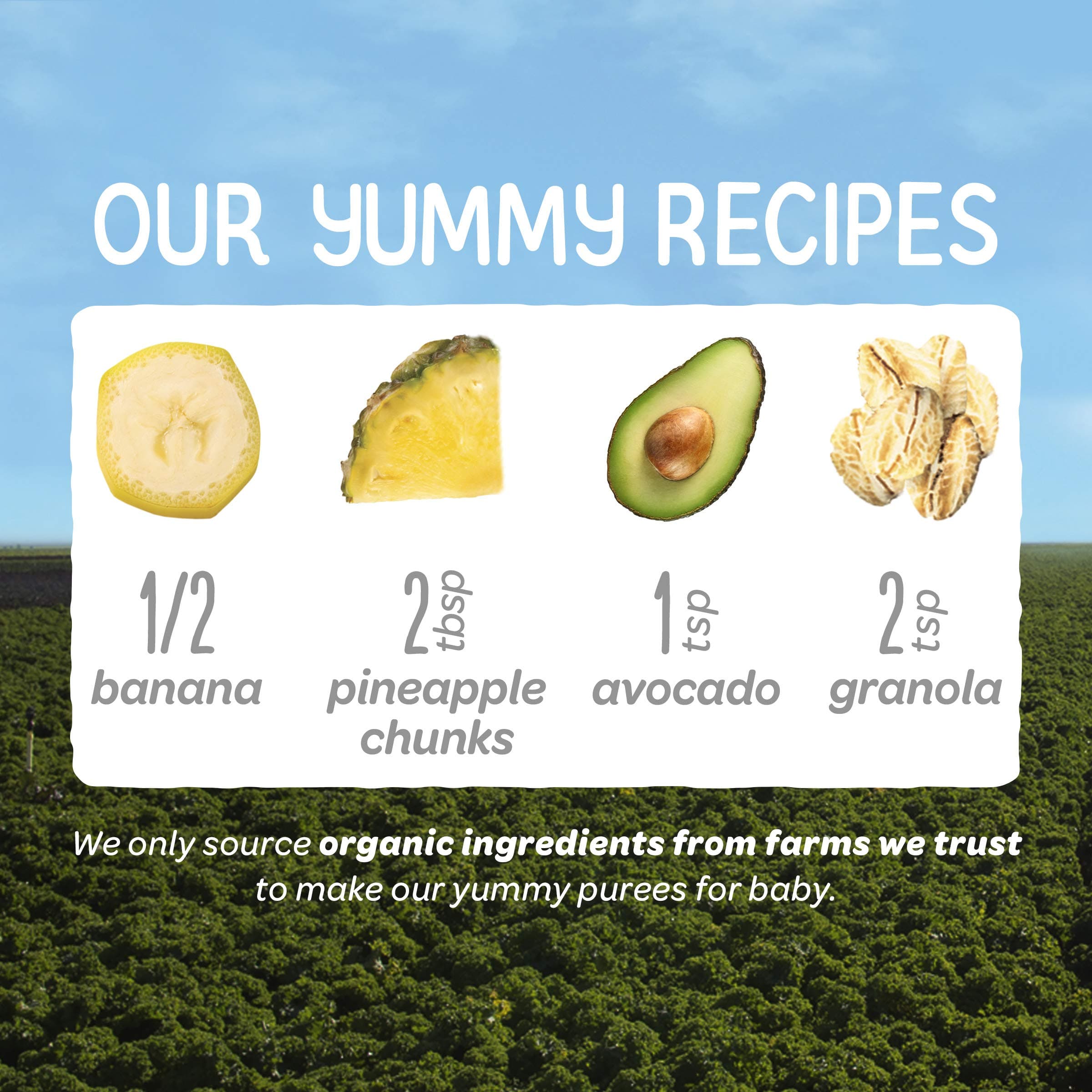 Happy Baby Organics Clearly Crafted Stage 2 Baby Food Bananas, Pineapples, Avoca - Thumbnail 4