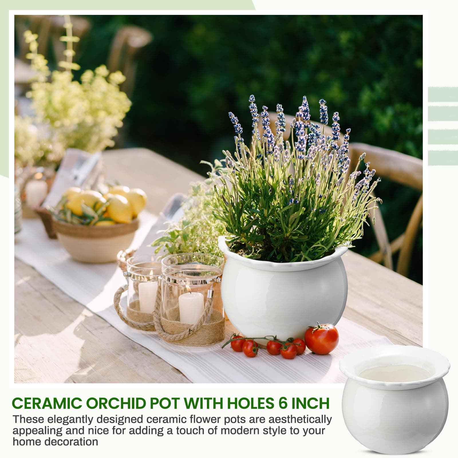 Suclain 2 Pcs African Violet Pots 6.5 Inch Self Watering Ceramic Indoor Planter - Thumbnail 4