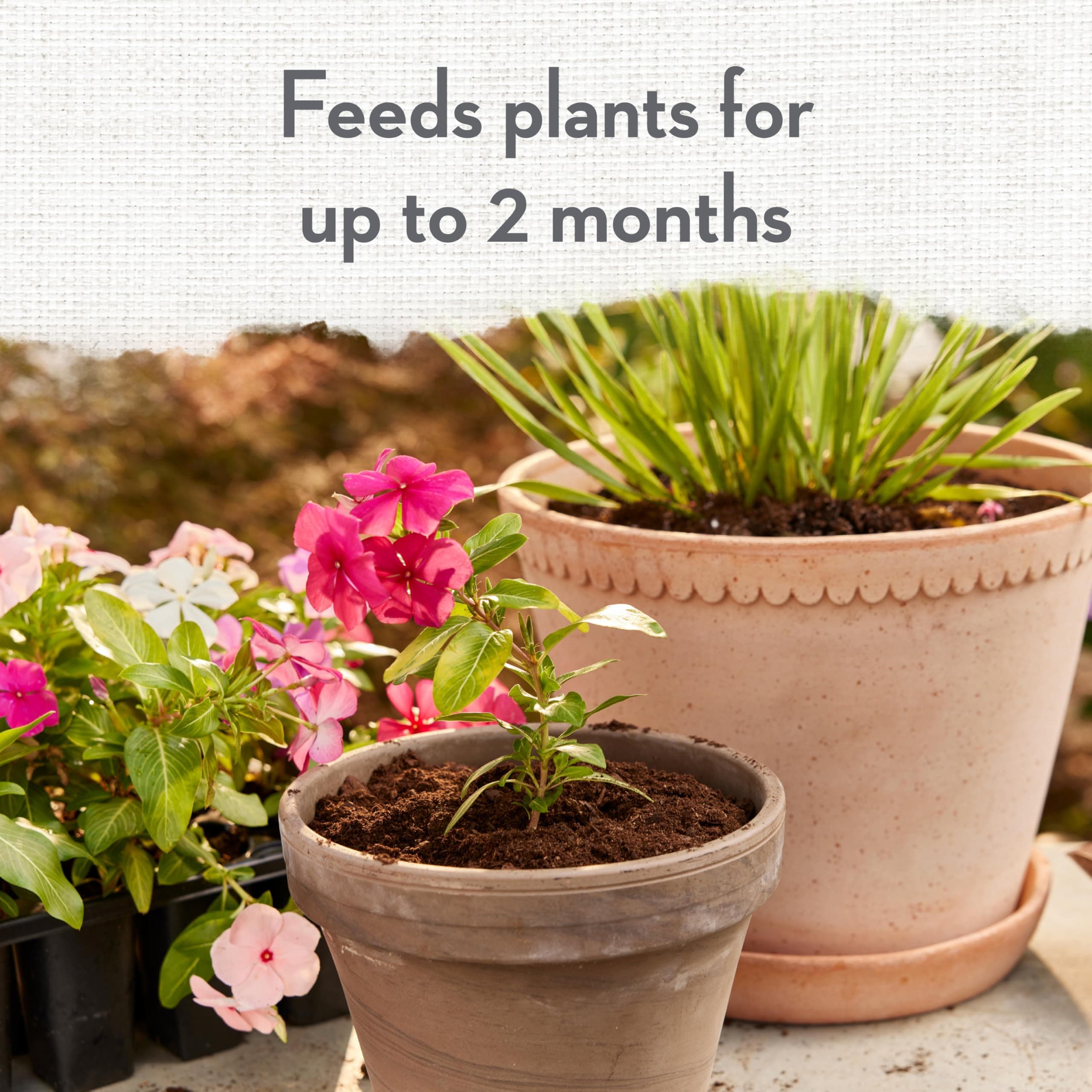 Whitney Farms Organic Potting Soil - Natural Indoor and Outdoor Container Mix fo - Thumbnail 7