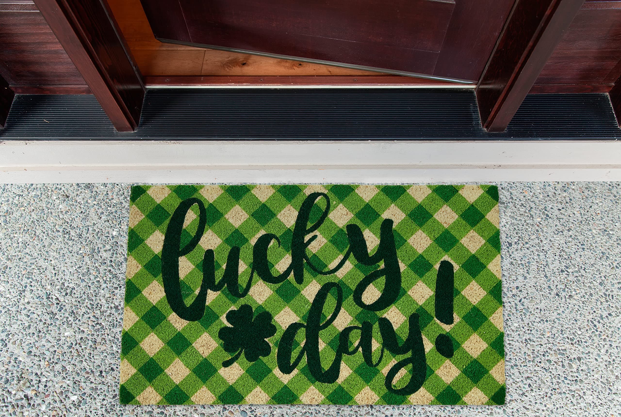 DII Indoor/Outdoor Natural Coir Fiber Spring/Summer Doormat, 17x29, Lucky Day - Thumbnail 2