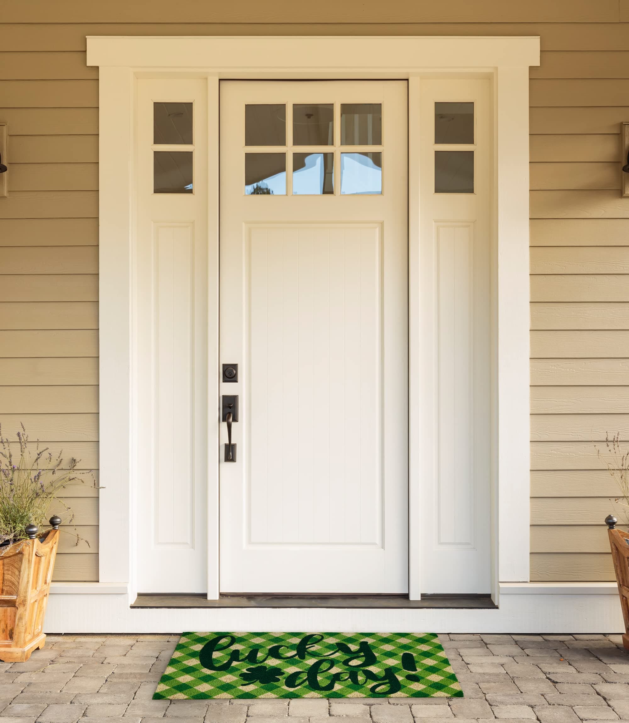 DII Indoor/Outdoor Natural Coir Fiber Spring/Summer Doormat, 17x29, Lucky Day - Thumbnail 5