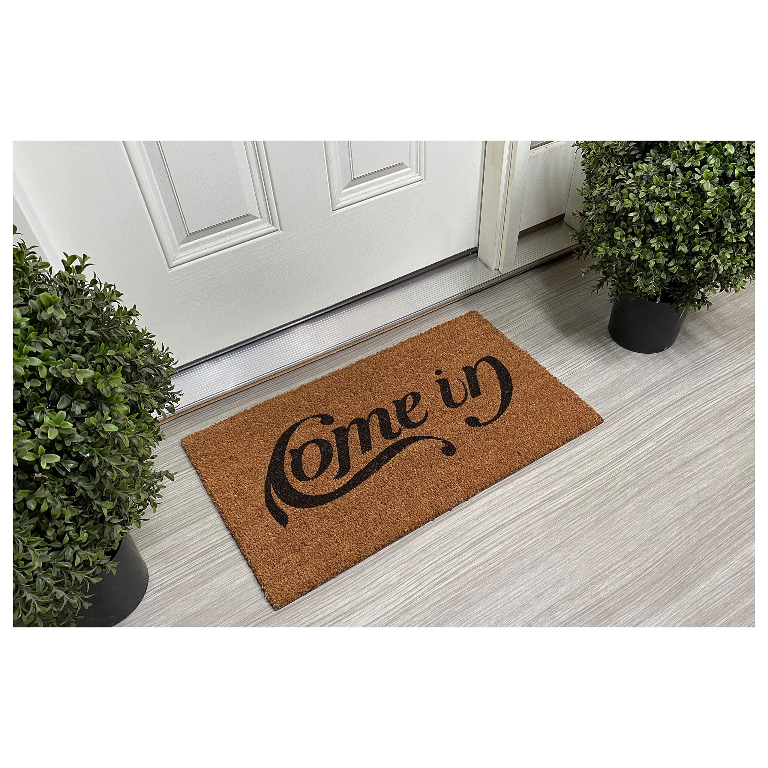 Calloway Mills 107901729 Come in Go Away Doormat 17" x 29" - Thumbnail 2