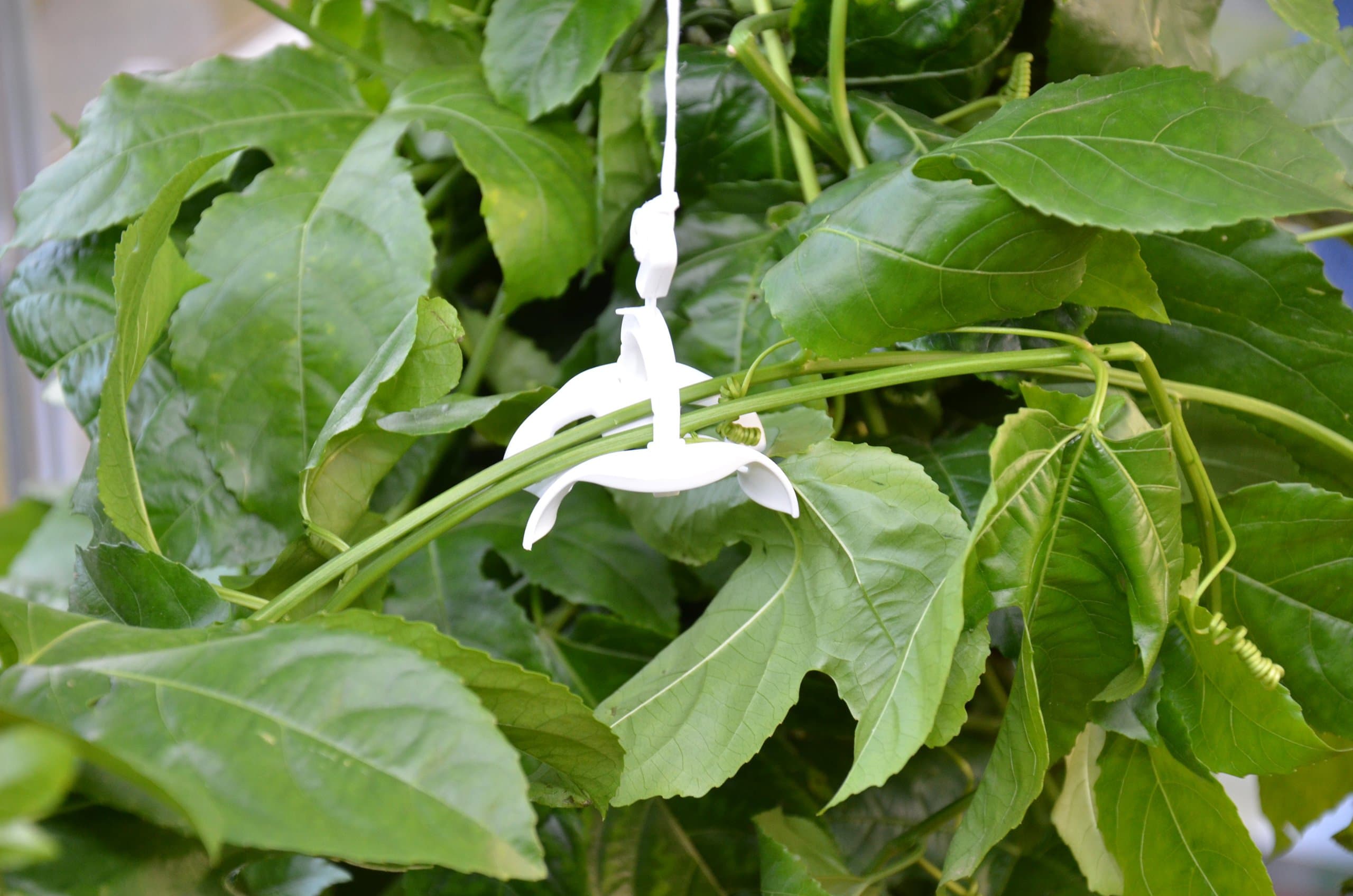 Palram - Canopia Trellising Kit Pro for Canopia Greenhouses - Thumbnail 4