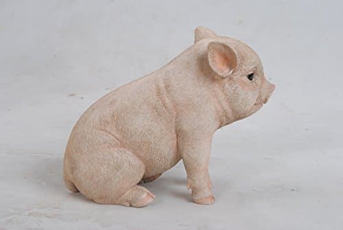 Hi-Line Gift Ltd Sitting Baby Pig 6" - Thumbnail 3