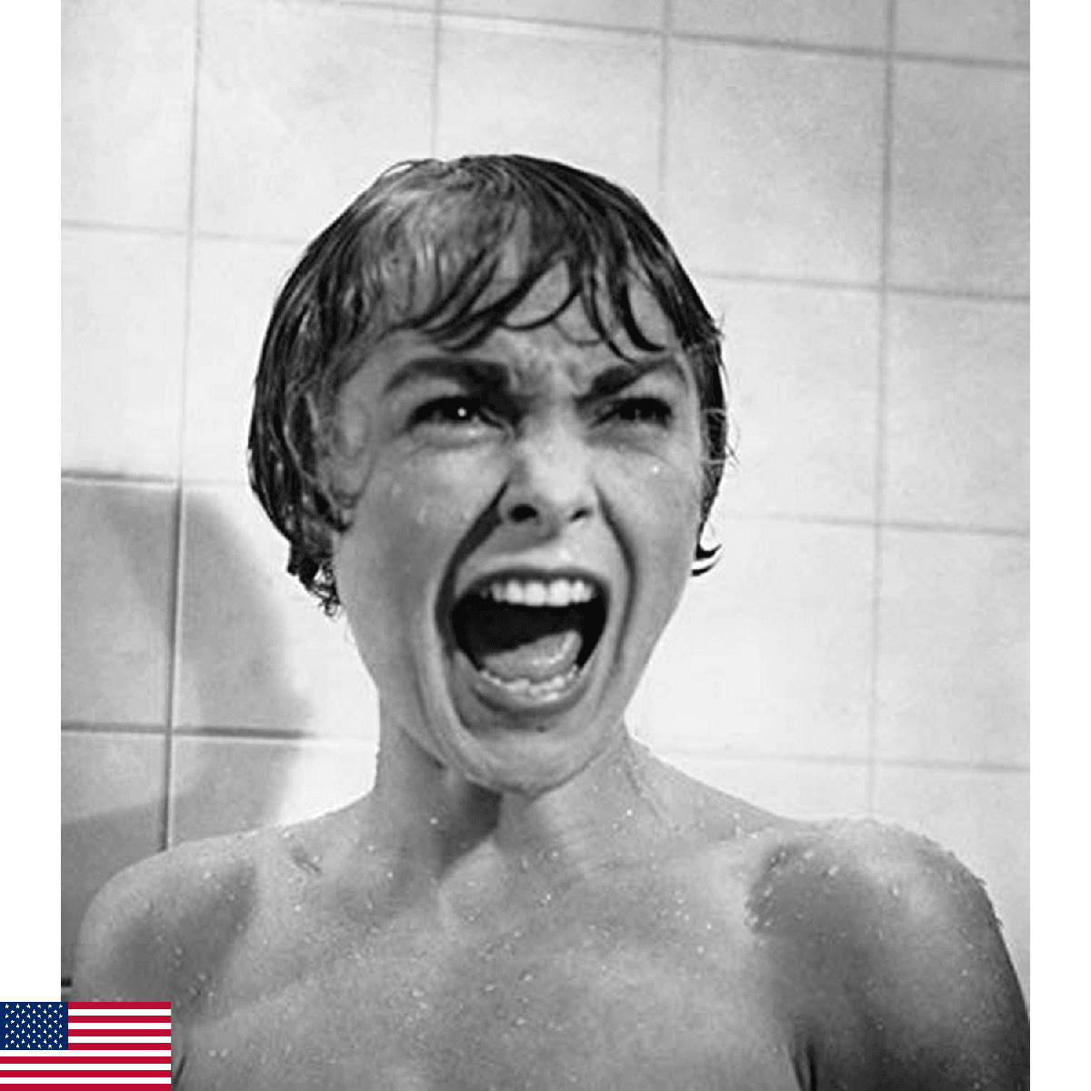 Psycho Janet Leigh Shower Scene 1960 Photo Print 16x20 - Image 1