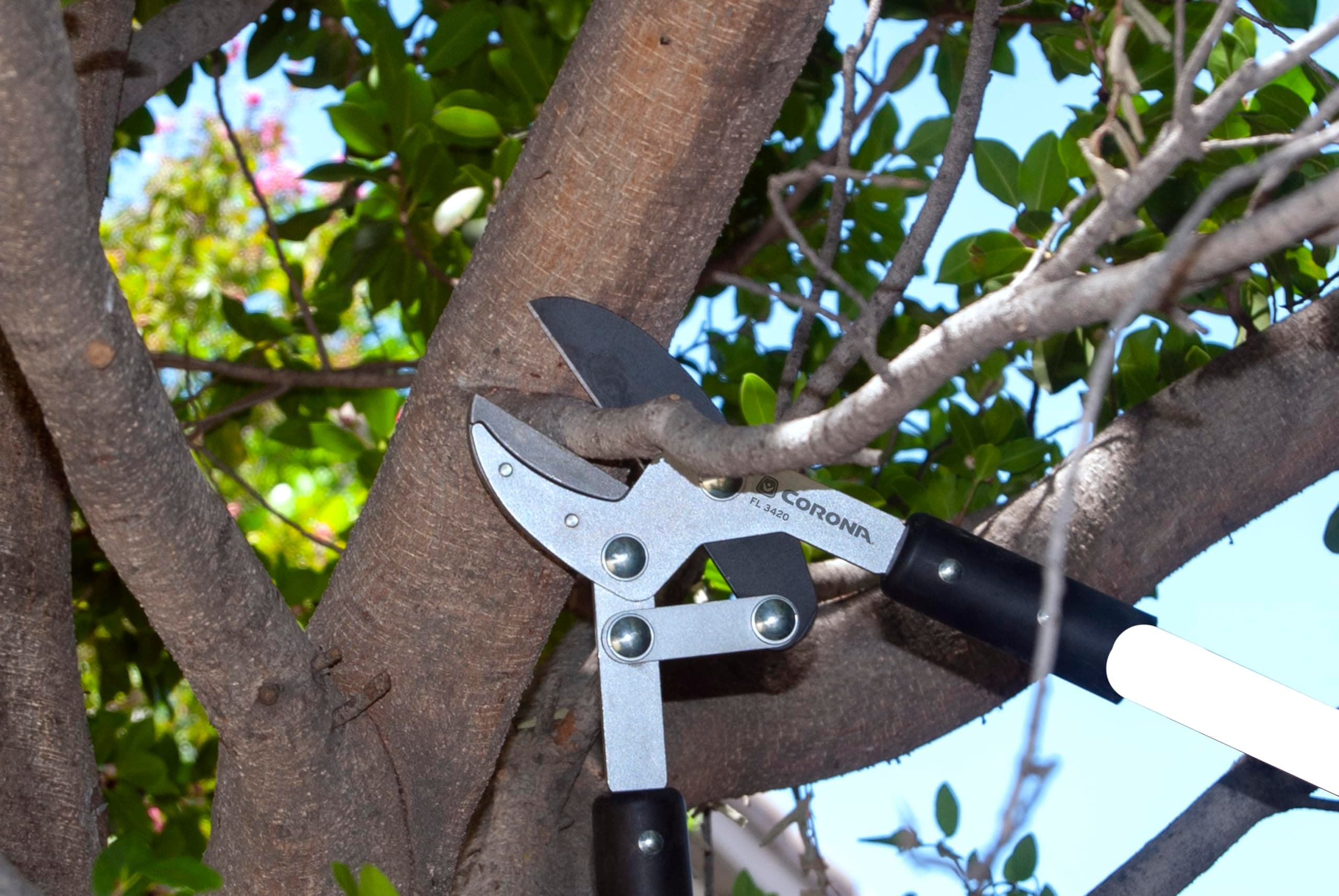 Corona Tools Compound Action Anvil Lopper – 32-Inch Heavy-Duty Branch Cutter for - Thumbnail 2