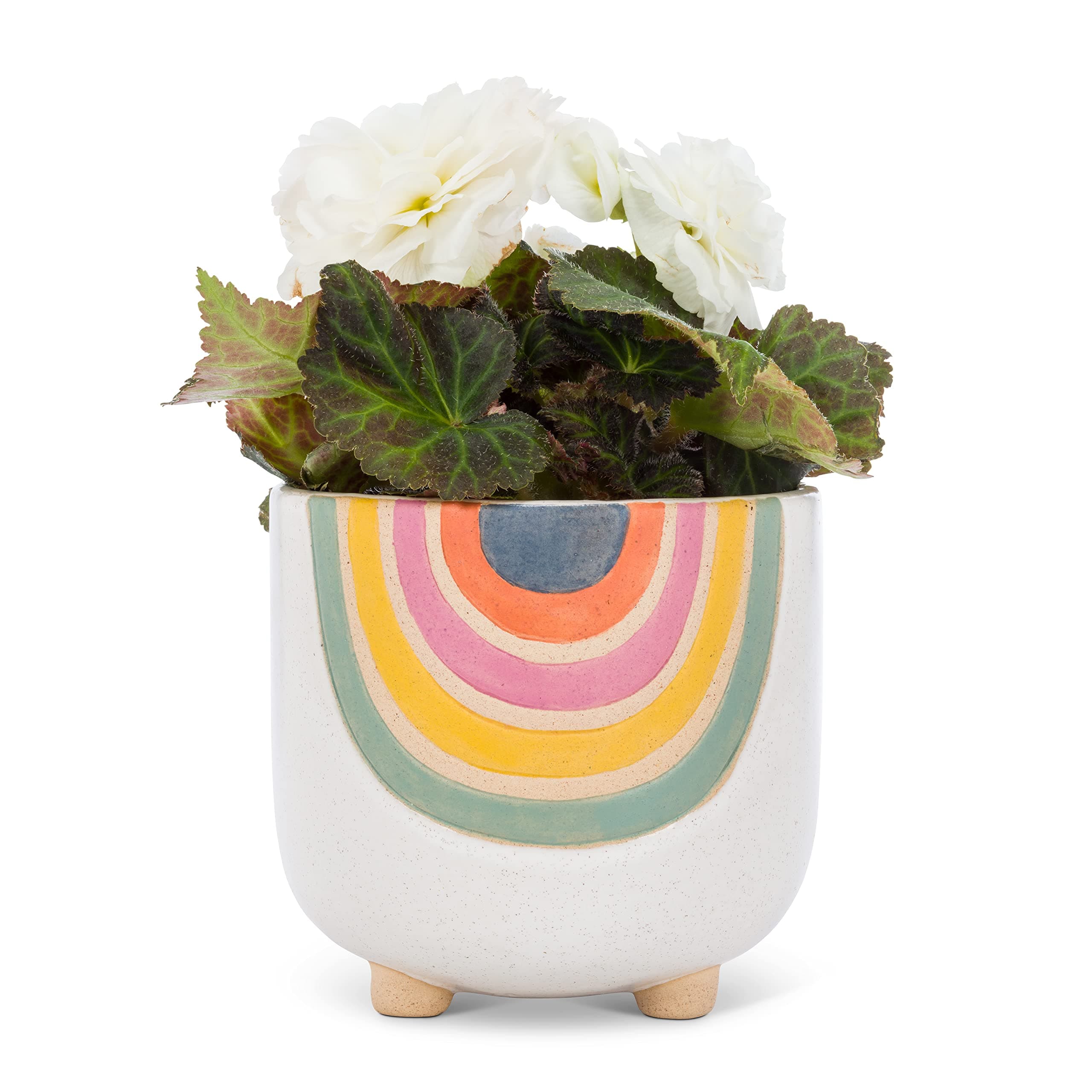 Abbott Collection 27-VIBE-735-LG Large Rainbow Planter with Legs, 5.5" - Thumbnail 2