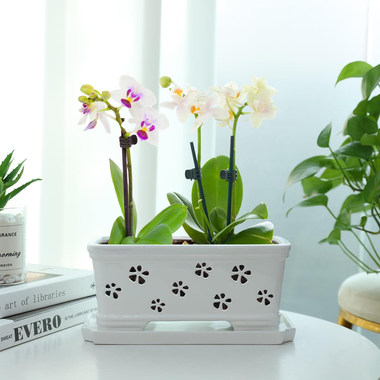 10 Inch Rectangle Ceramic Orchid Pot with Holes & Saucer - White, Effective Drai - Thumbnail 4