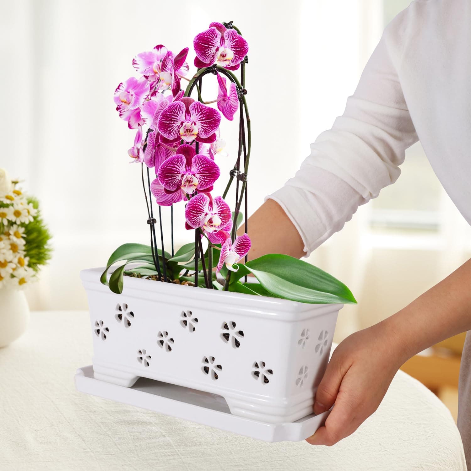 10 Inch Rectangle Ceramic Orchid Pot with Holes & Saucer - White, Effective Drai - Thumbnail 3