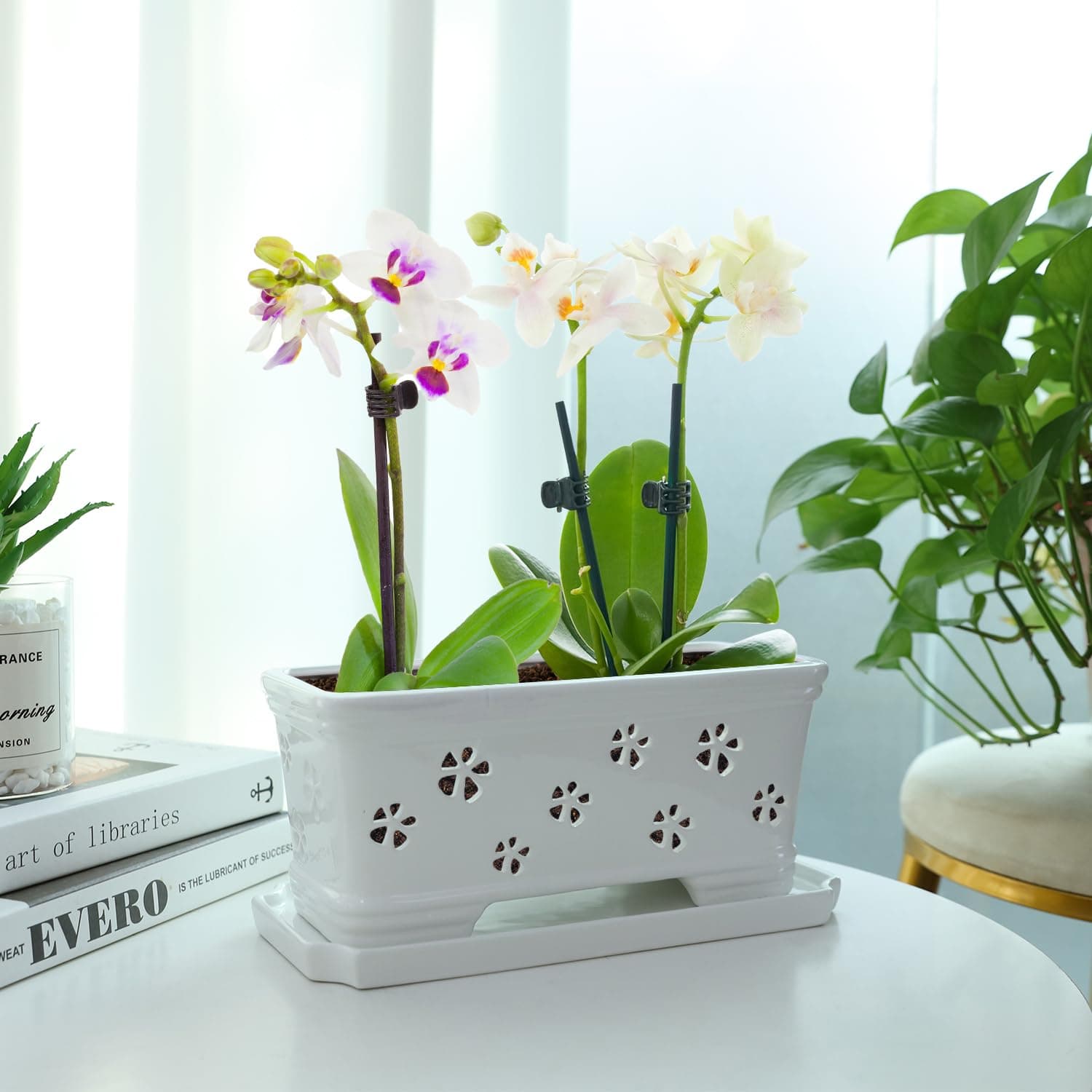 10 Inch Rectangle Ceramic Orchid Pot with Holes & Saucer - White, Effective Drai - Thumbnail 5
