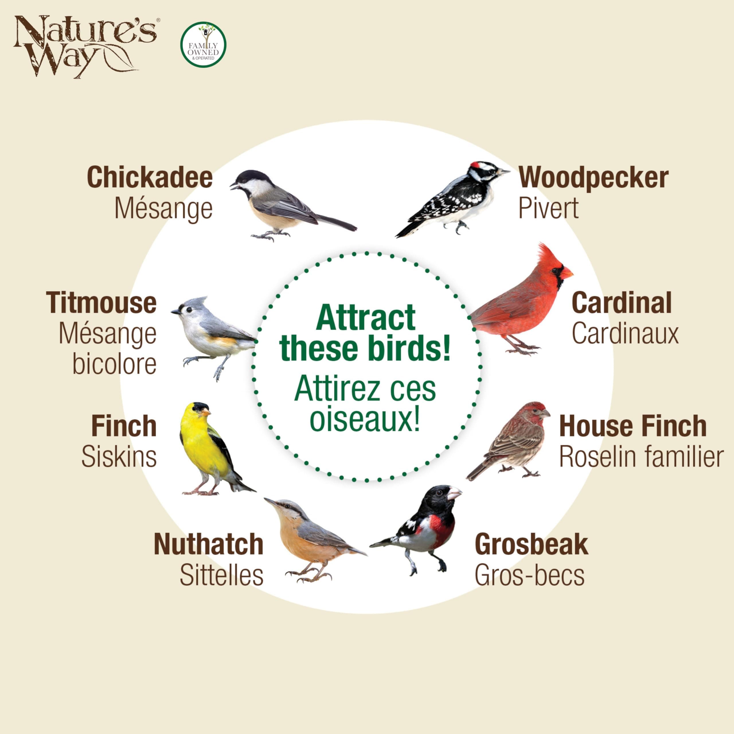 Nature's Way Cobalt Metal Mesh Mixed Seed and Peanut Bird Feeder for Wild Birds - Thumbnail 5