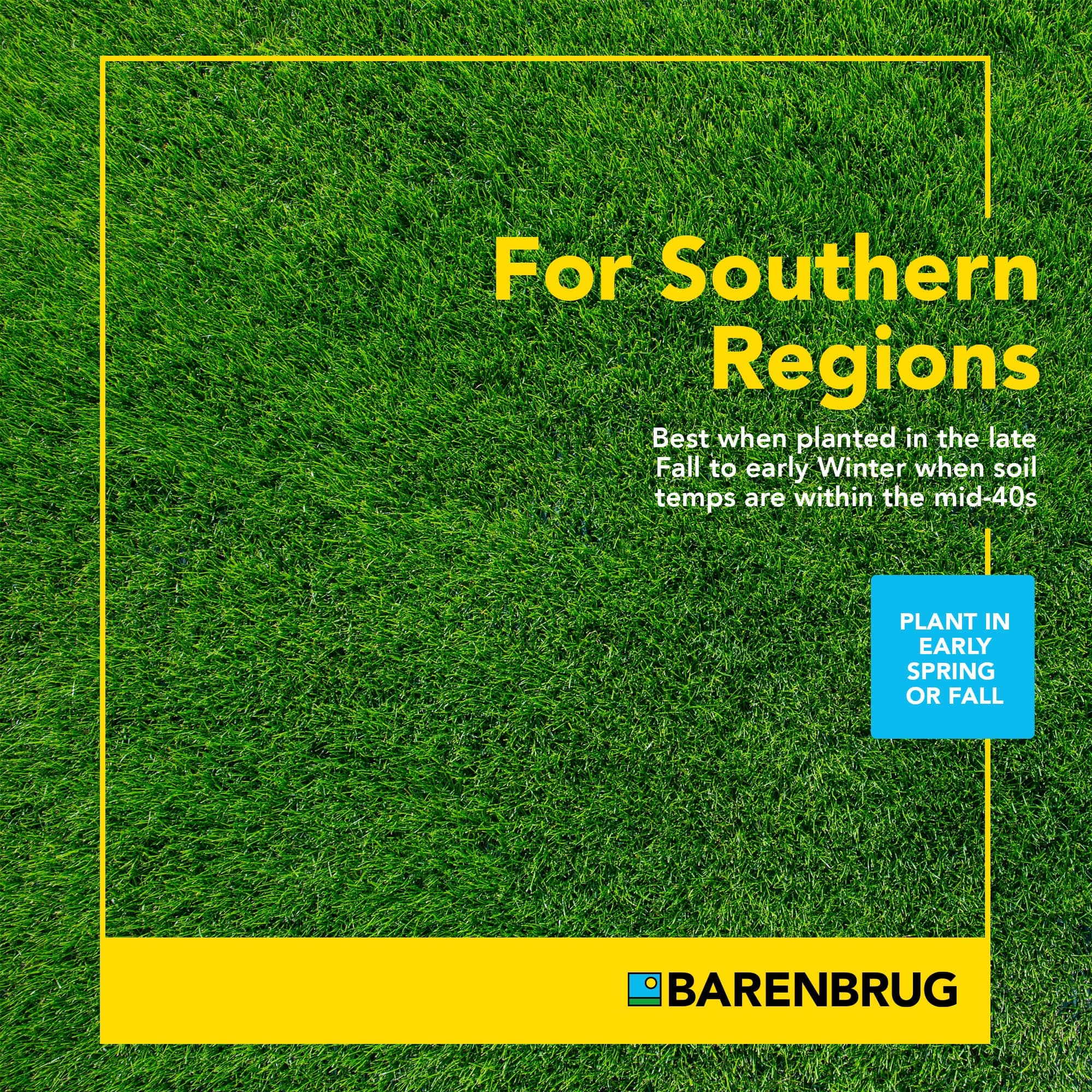 BARENBRUG USA 24049 Winter Wonderlawn Grass Seed, 10 lb - Thumbnail 3