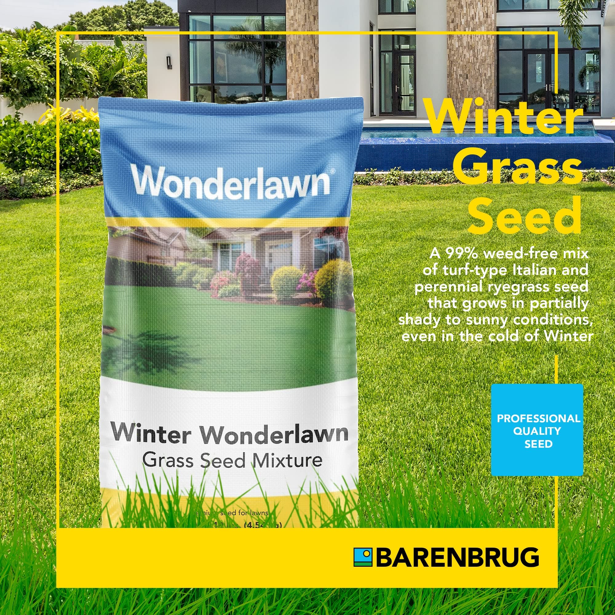 BARENBRUG USA 24049 Winter Wonderlawn Grass Seed, 10 lb - Thumbnail 2