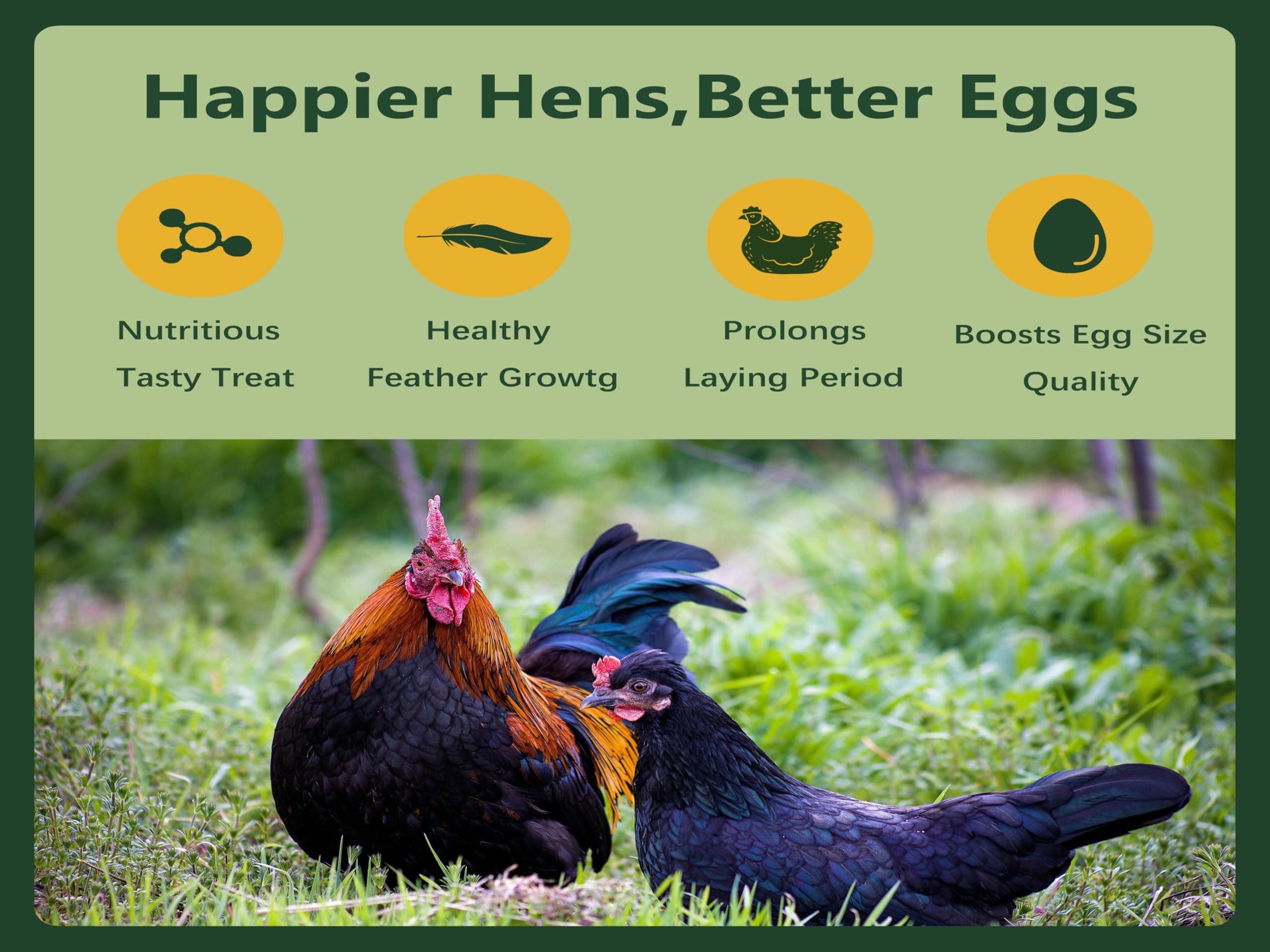 Rexilon 10lb Dried Black Soldier Fly Larvae – Protein & Calcium Rich - Thumbnail 3