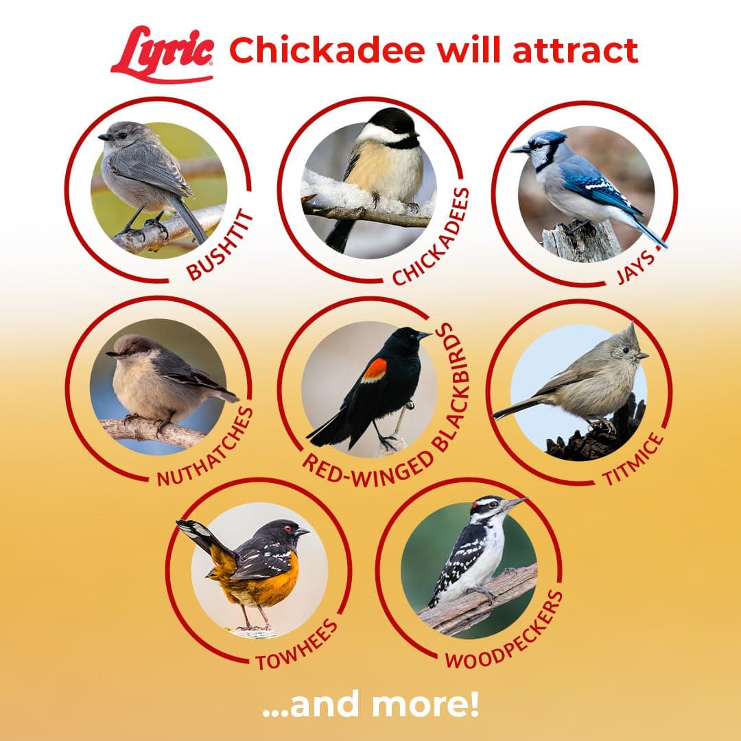 Lyric Chickadee Wild Bird Seed - Sunflower & Nut Premium Wild Bird Seed for Outs - Thumbnail 5
