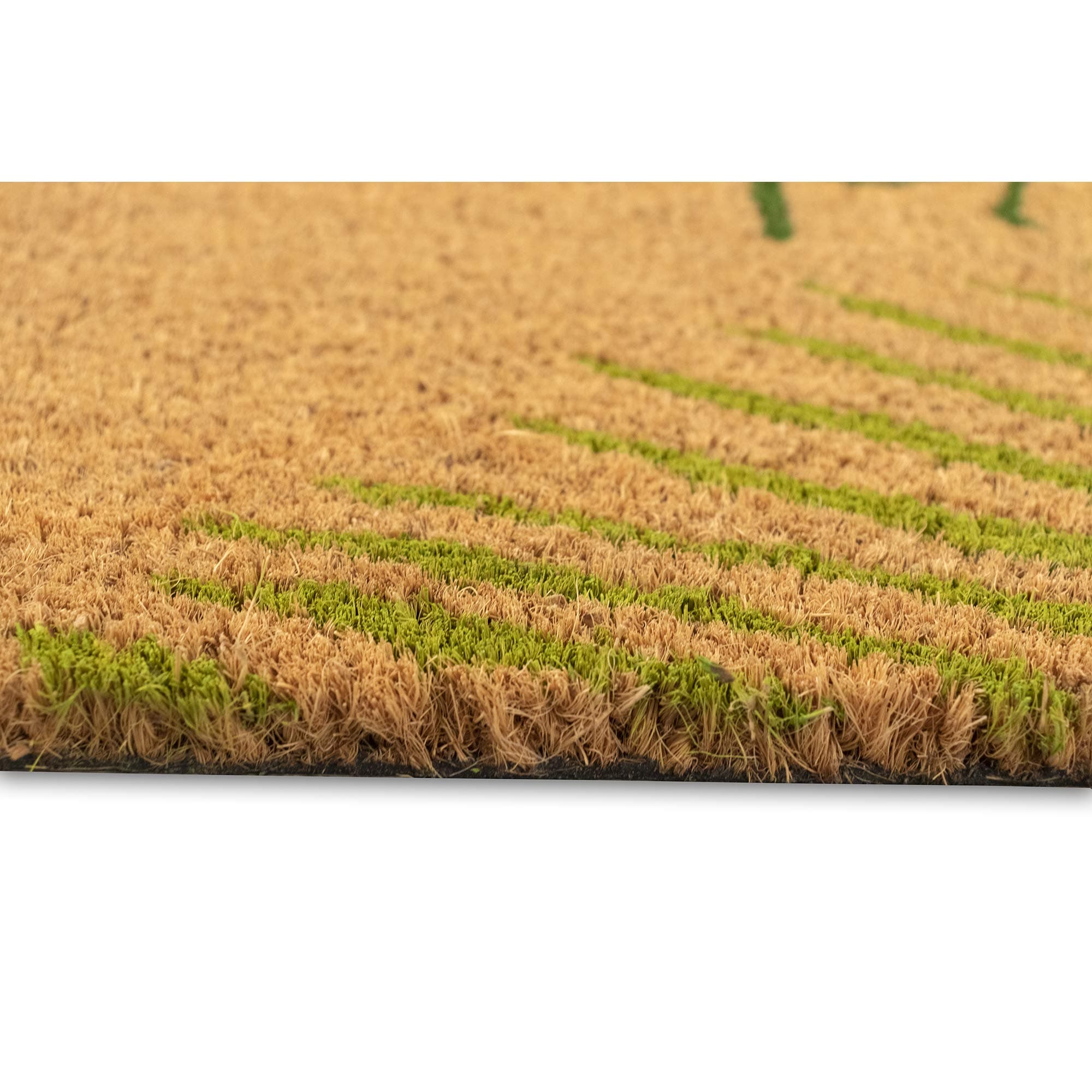 Liora Manne Natura Door Mat - Novelty Designs, Durable Natural Coir & Vinyl Back - Thumbnail 3